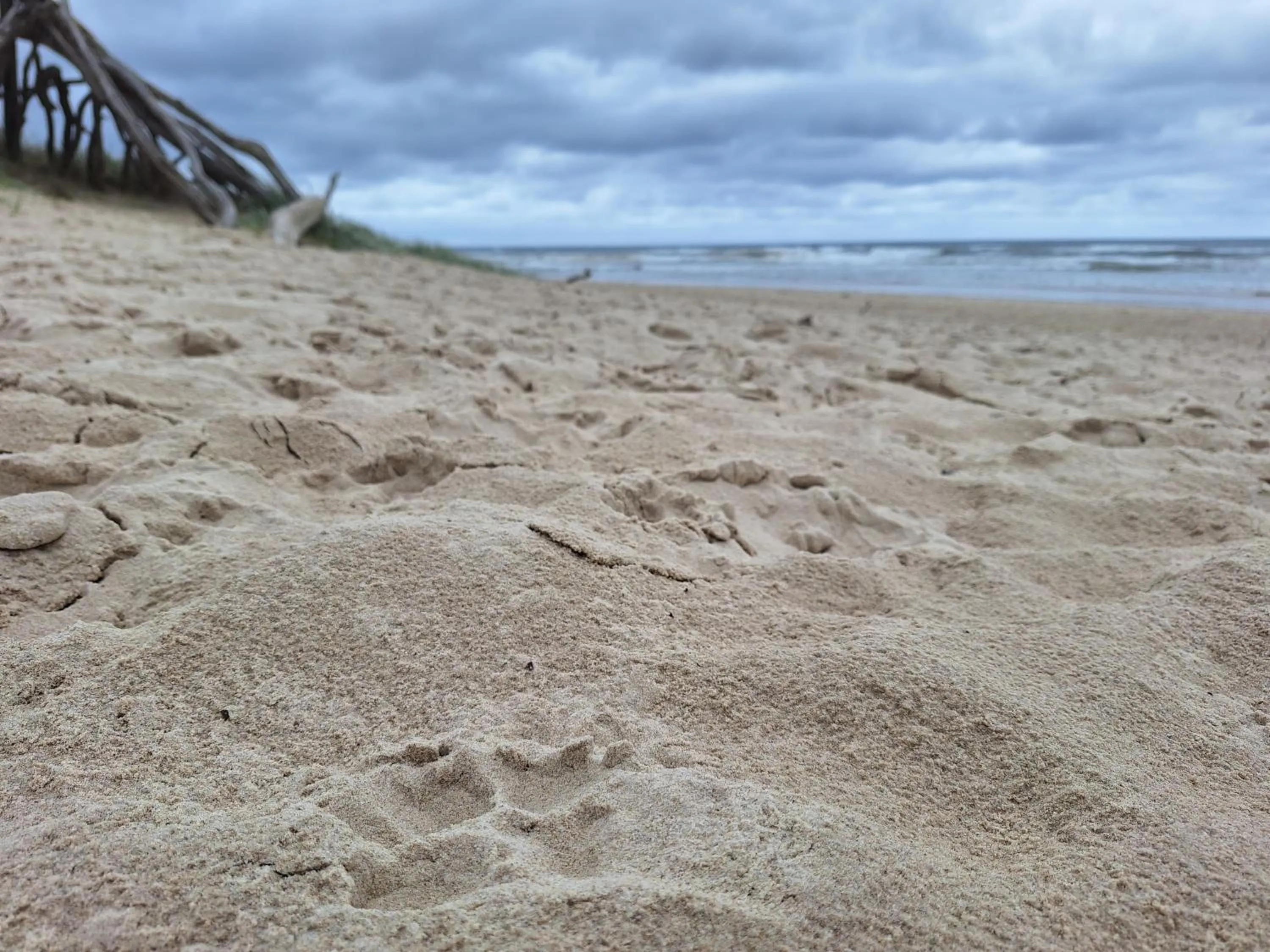 Beach in Ballina Beach Nature Resort