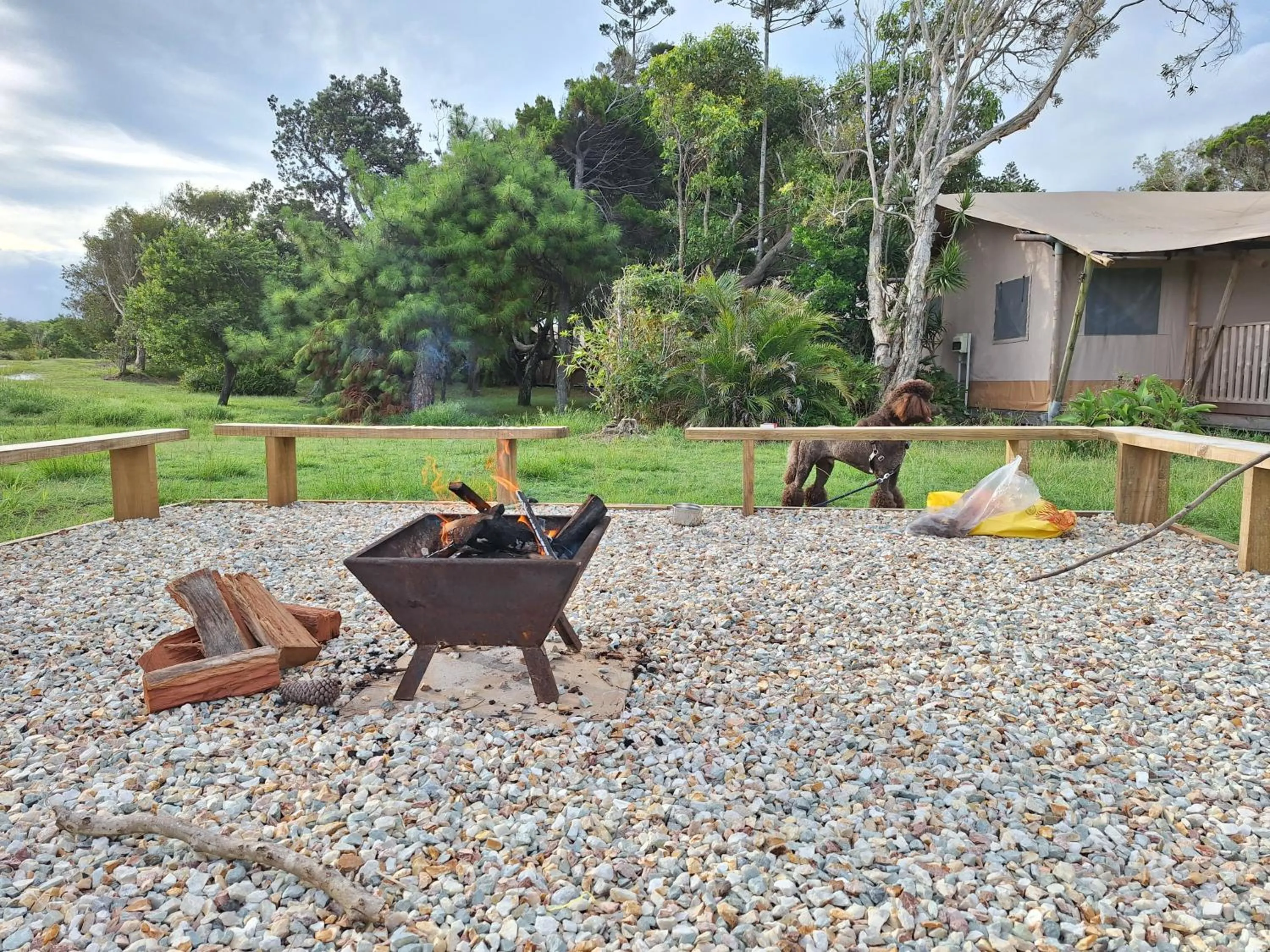 BBQ facilities in Ballina Beach Nature Resort
