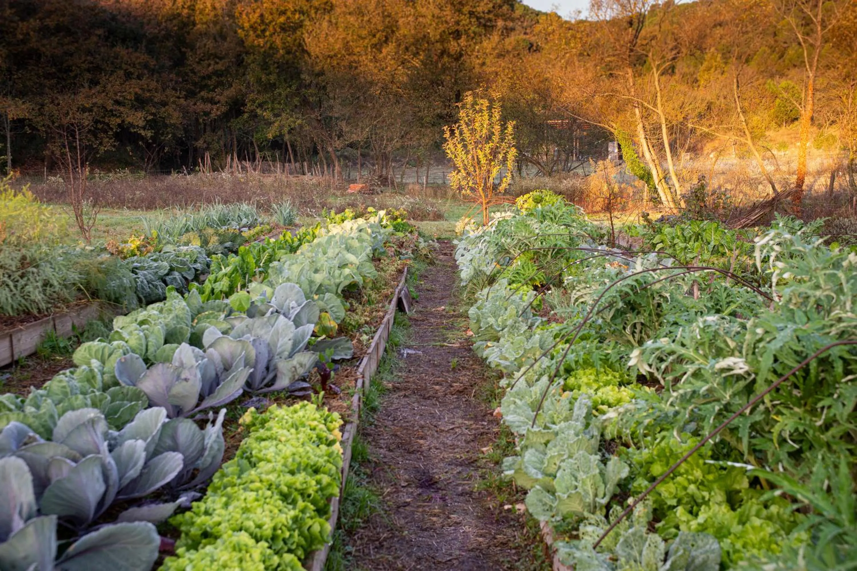 Natural landscape in ECOTurisme Can Buch HOTEL