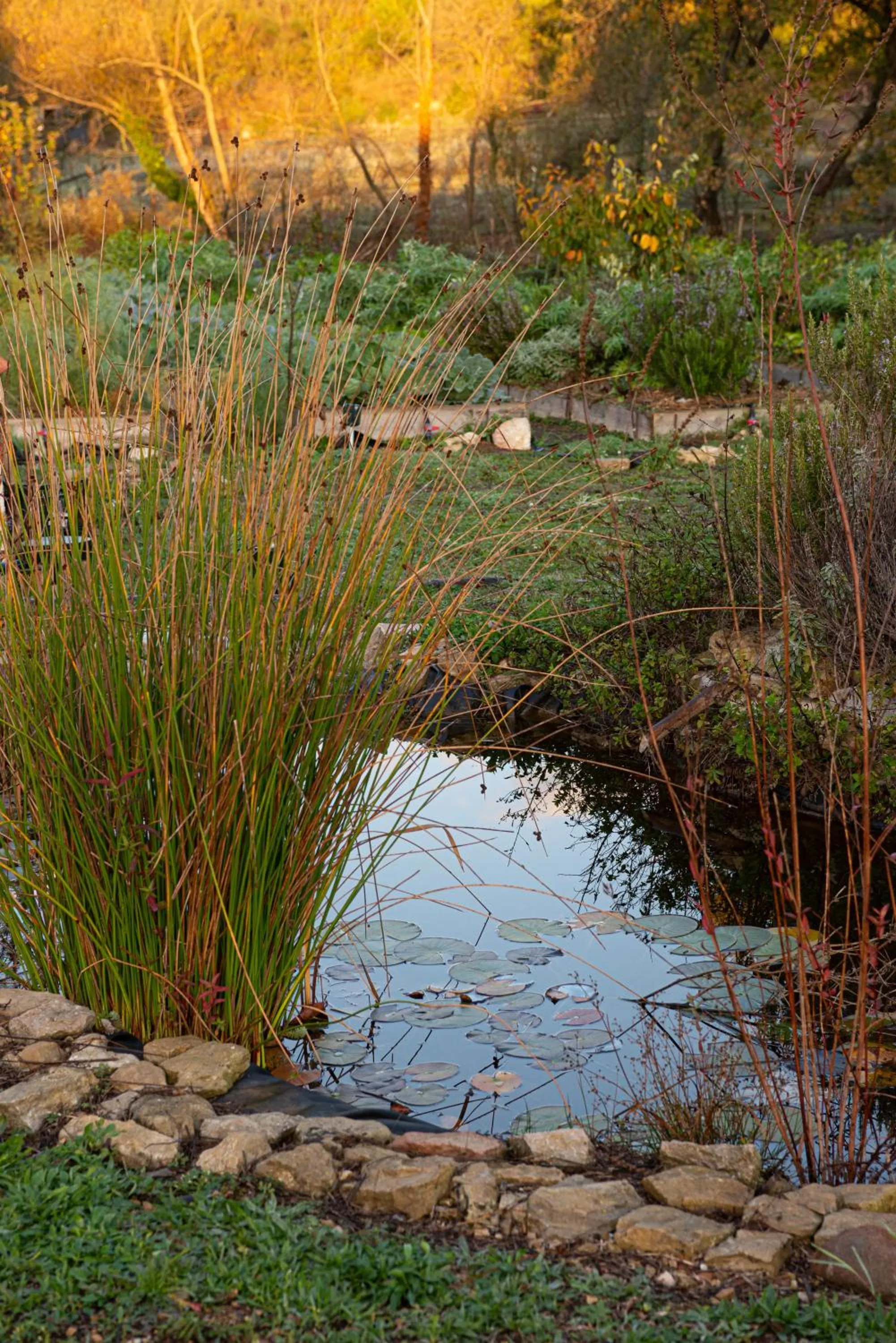Natural landscape in ECOTurisme Can Buch HOTEL