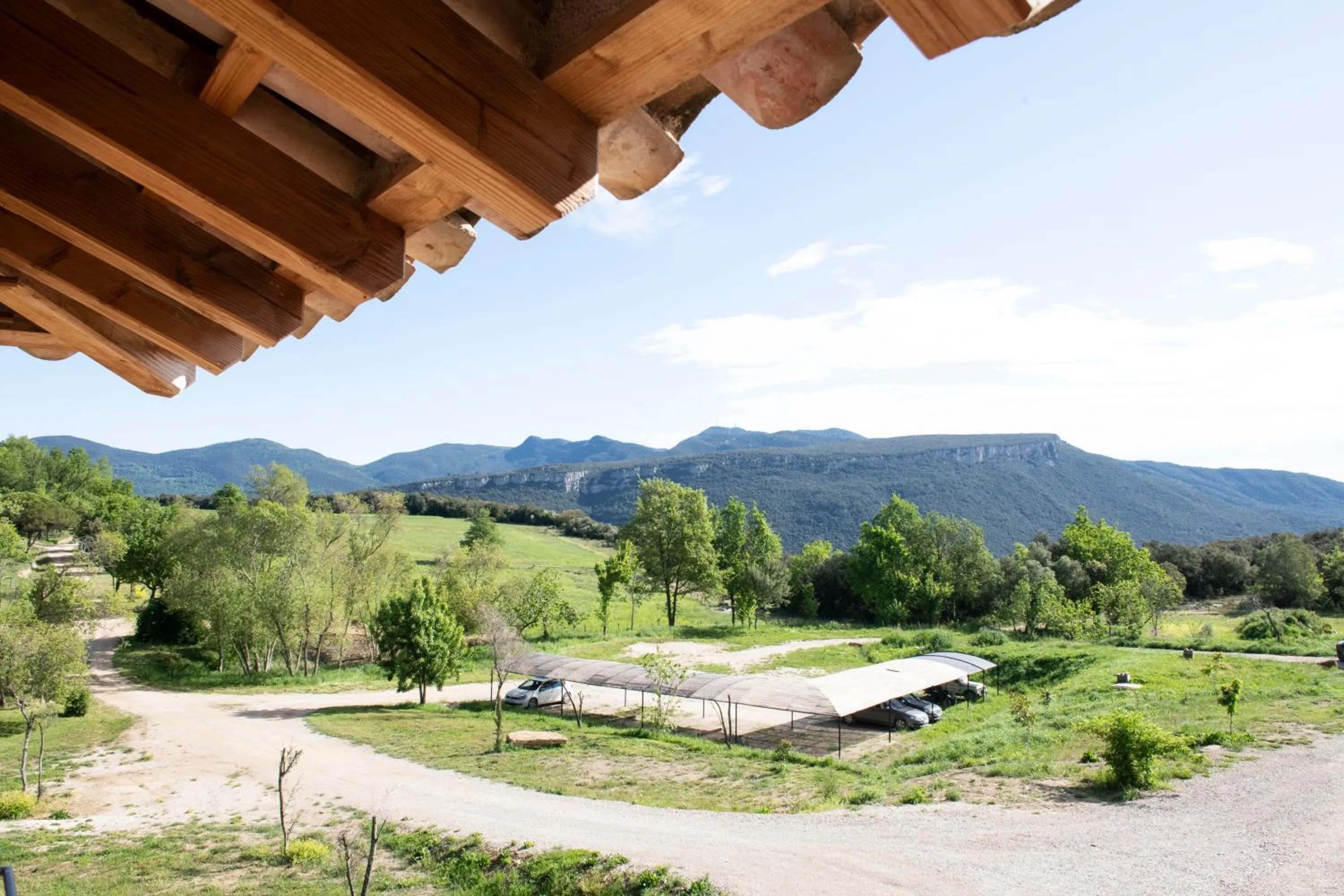 Garden view in ECOTurisme Can Buch HOTEL