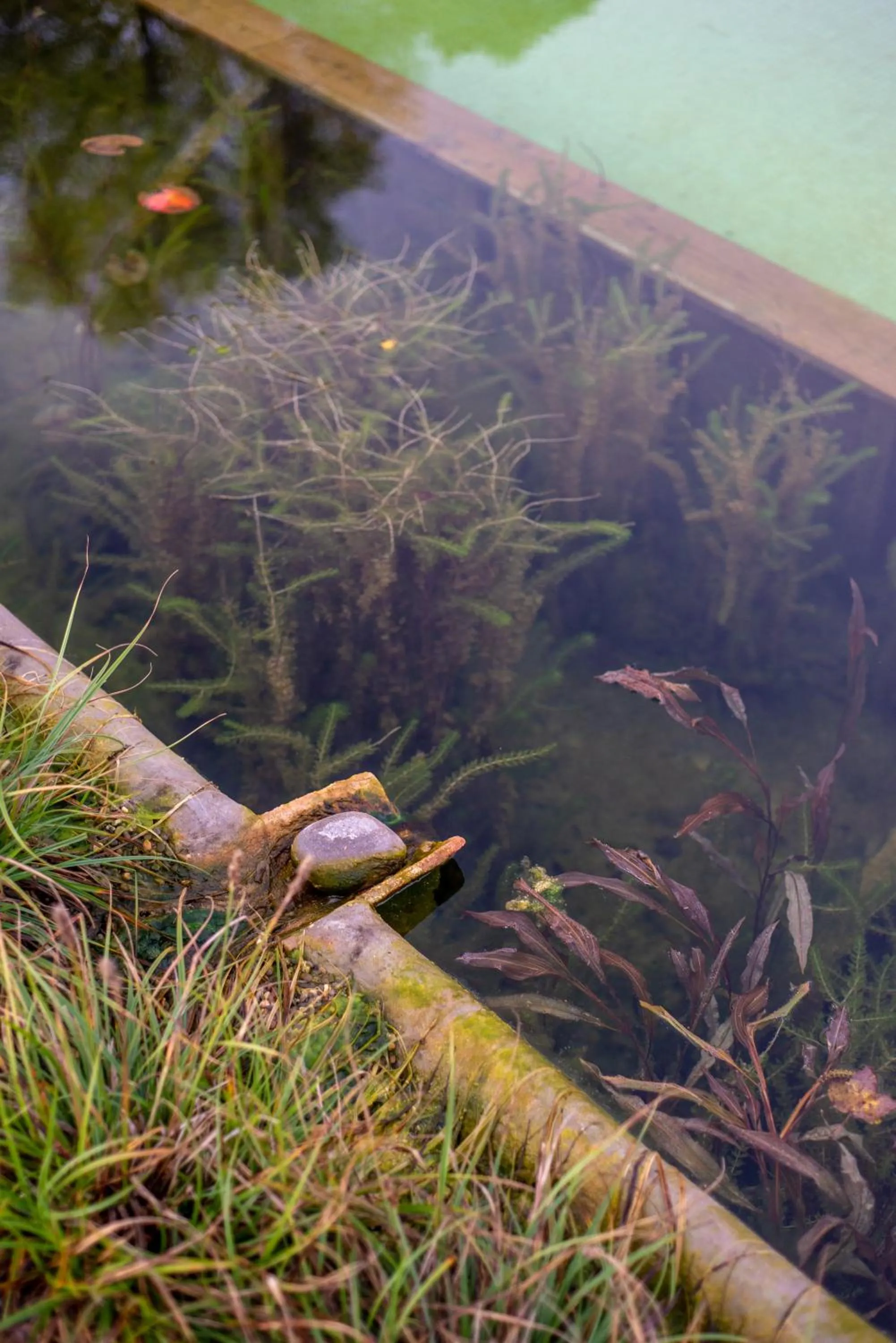 Pool view in ECOTurisme Can Buch HOTEL