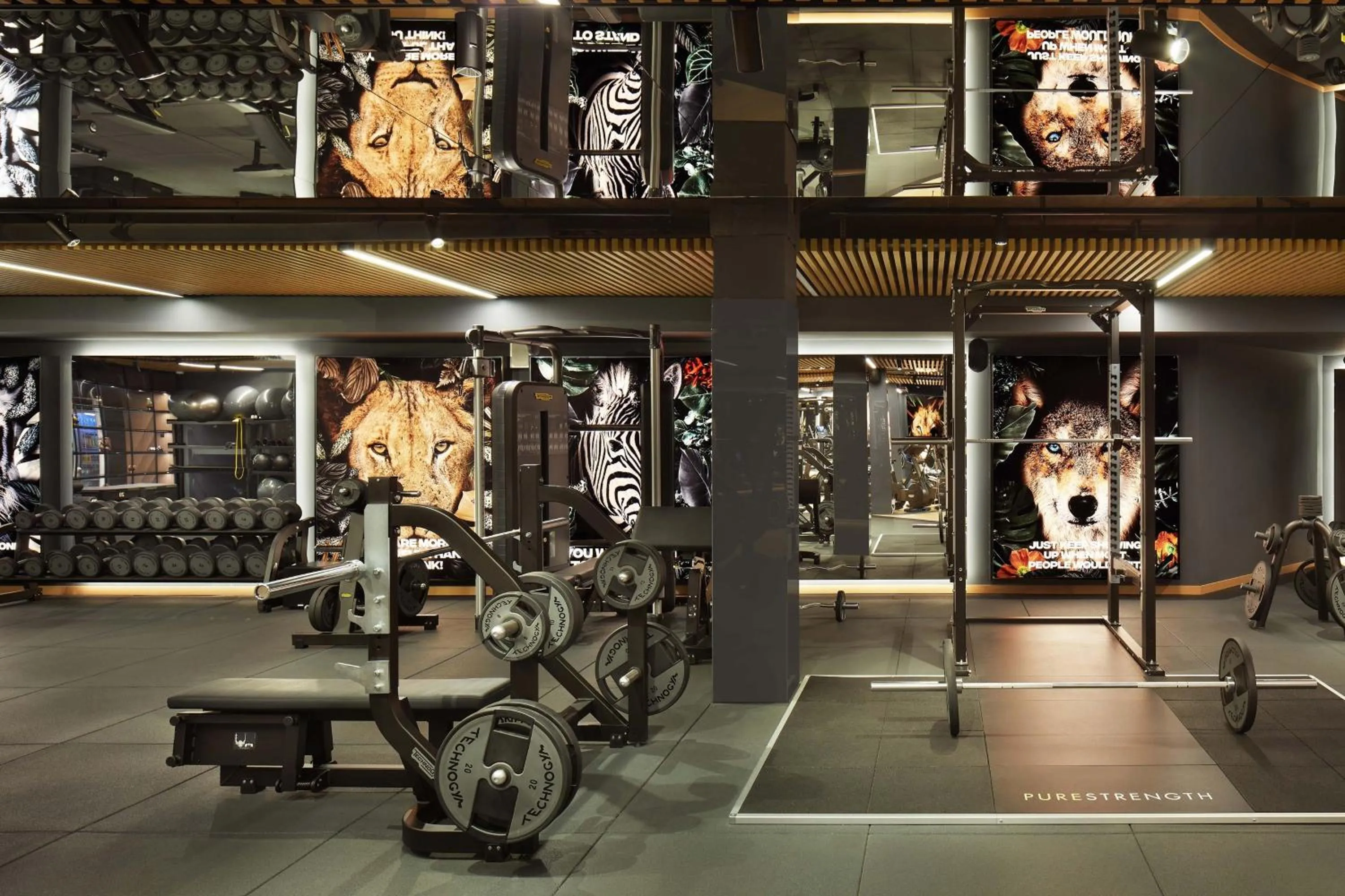 Fitness centre/facilities in Four Points by Sheraton Prishtina City