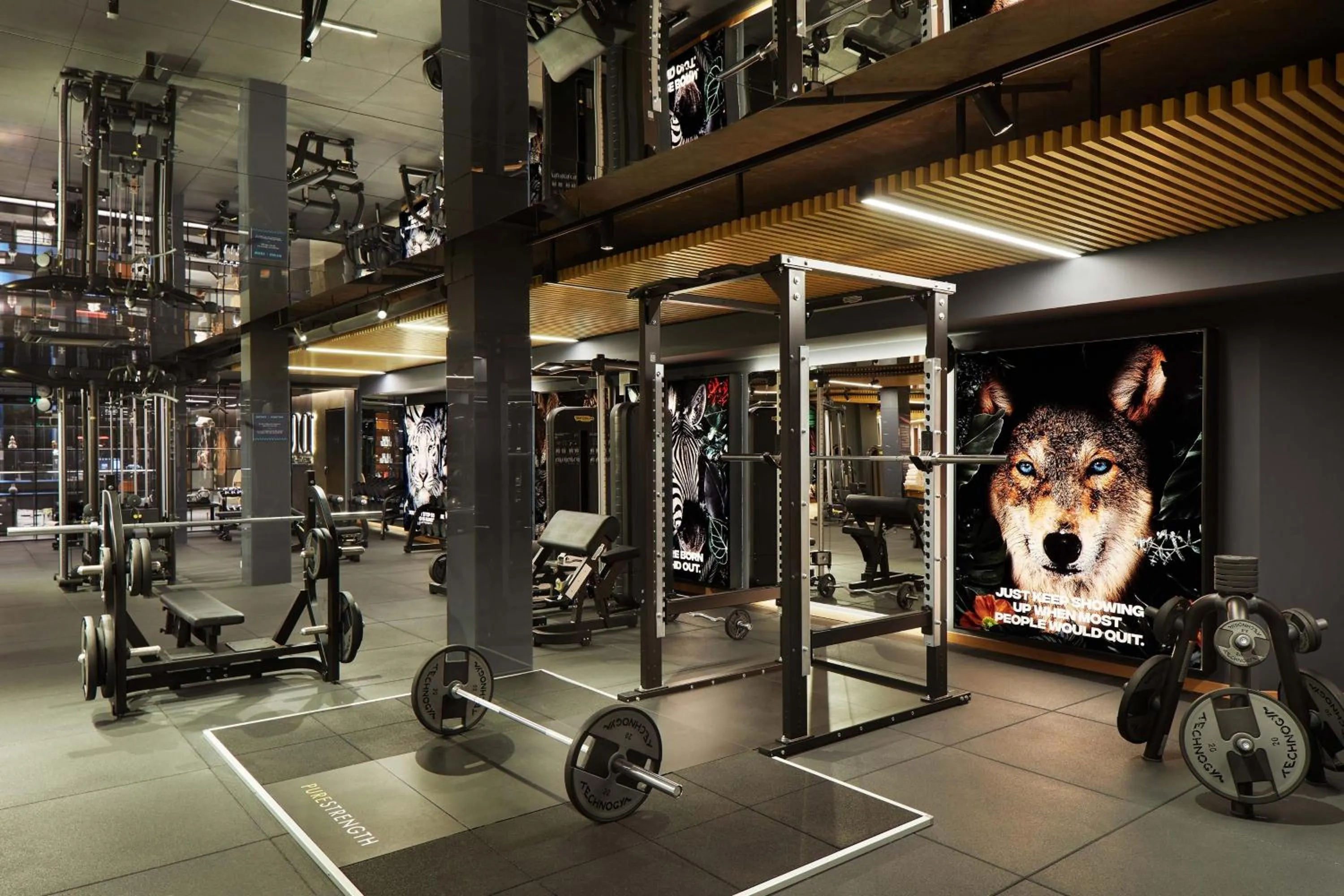 Fitness centre/facilities in Four Points by Sheraton Prishtina City