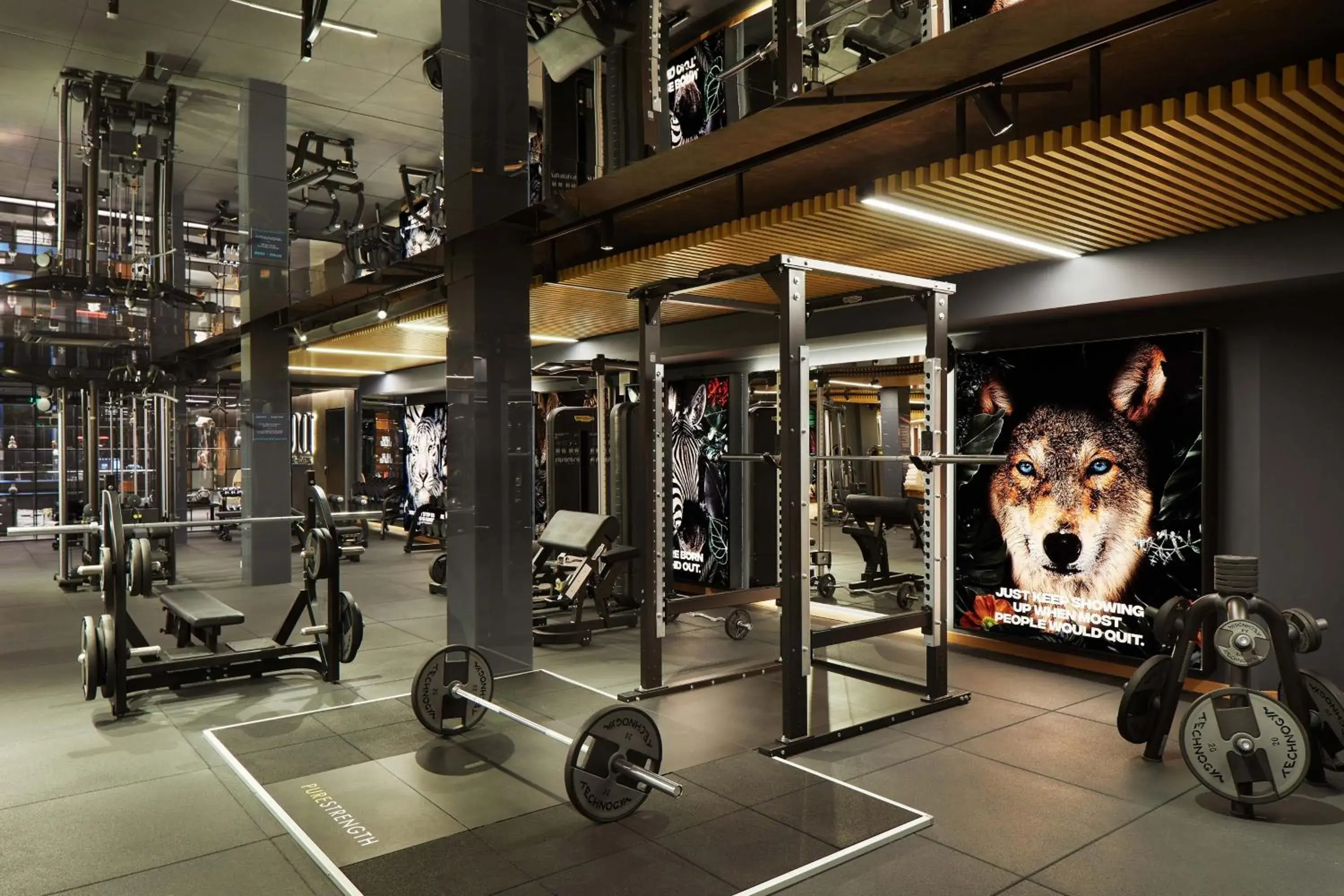 Fitness centre/facilities in Four Points by Sheraton Prishtina City Fitness centre/facilities in Four Points by Sheraton Prishtina City