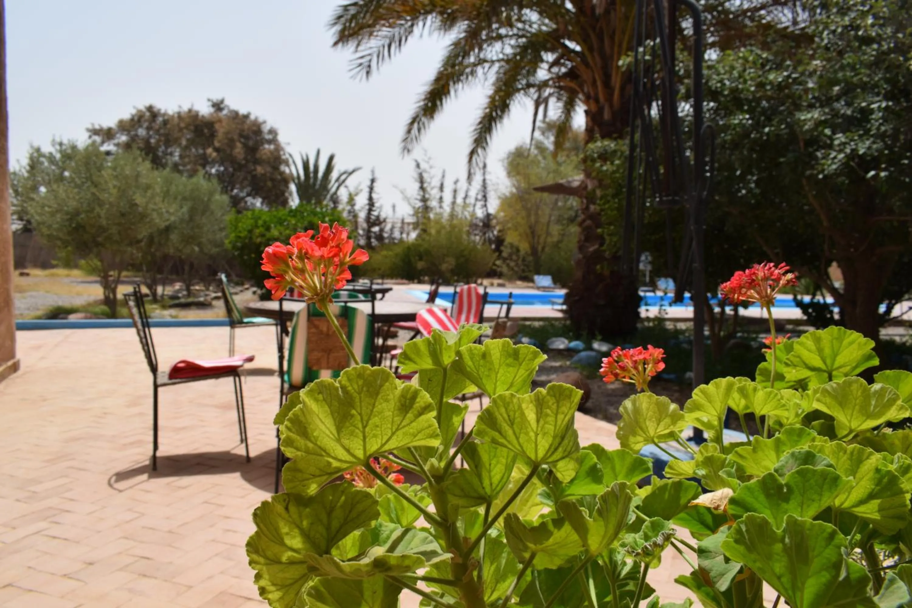 Maison d'hotes la tour de toile