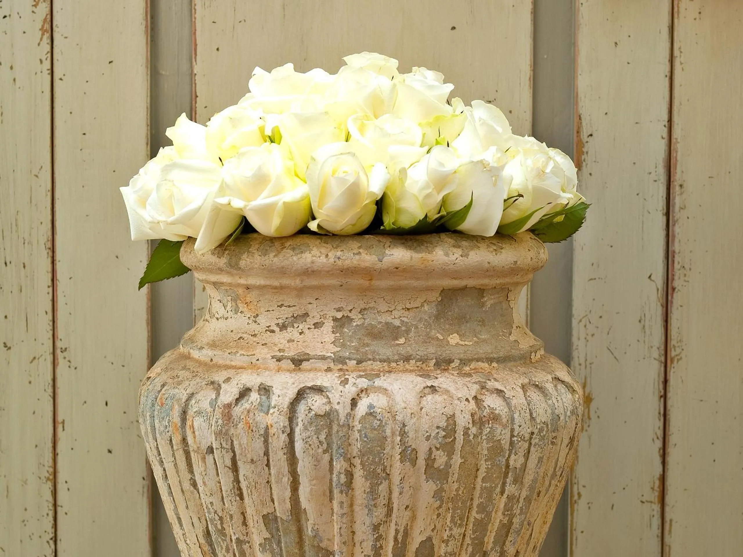 Day in Leisure Isle Lodge