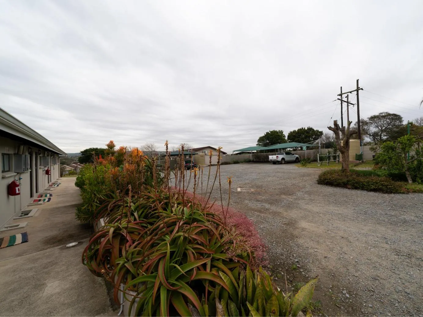 Garden view in Equestre BnB