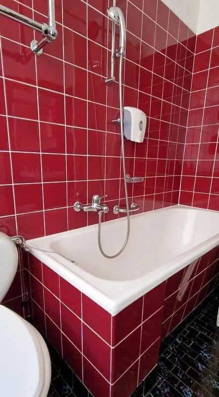 Bathroom in Soldanella