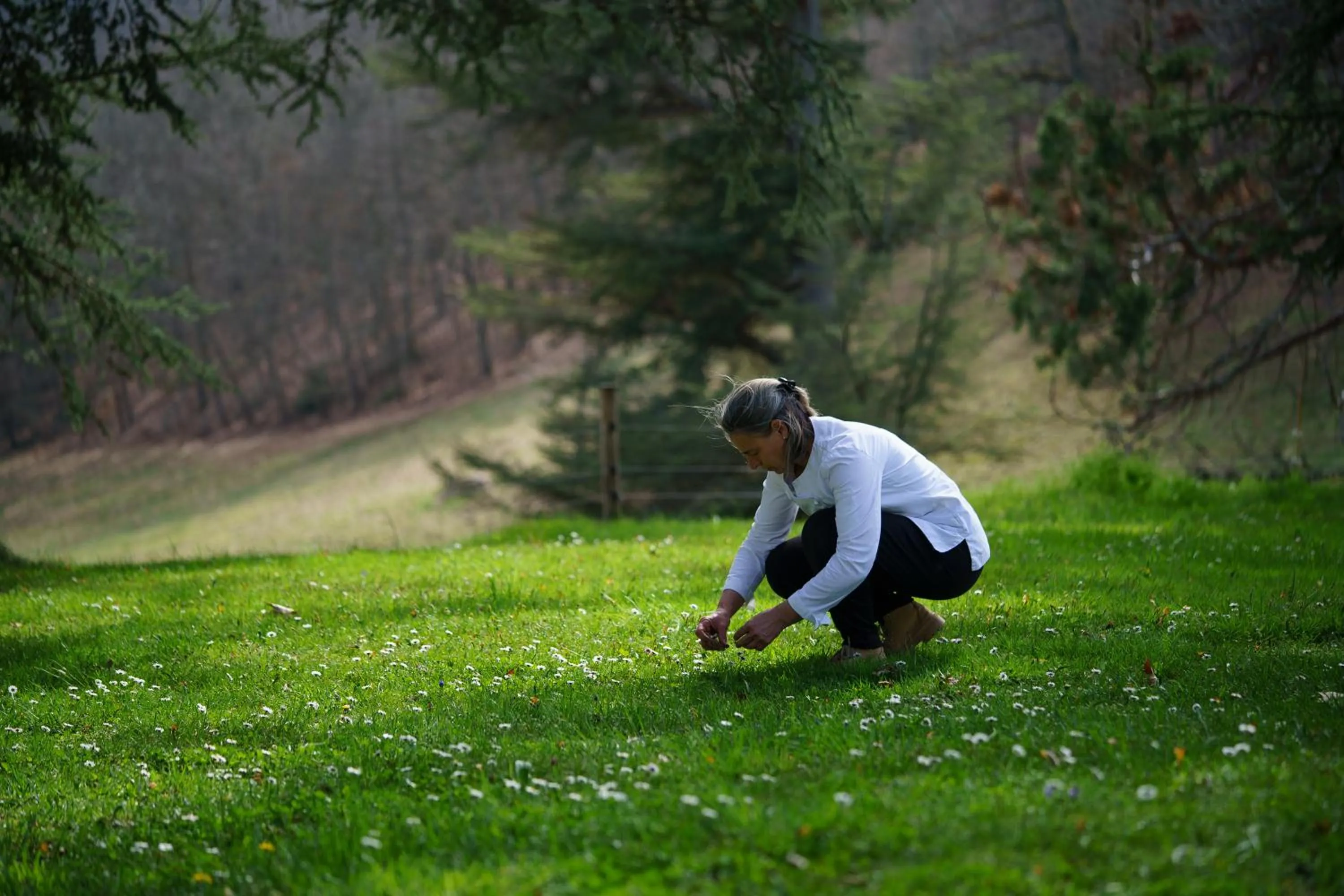 Day in Le Clos Cathala Chambres d'Hôtes