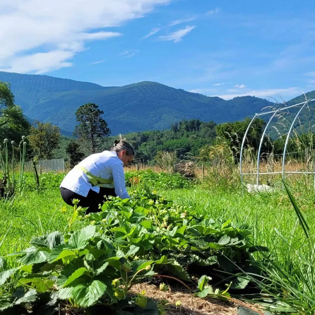 Garden in Le Clos Cathala Chambres d'Hôtes