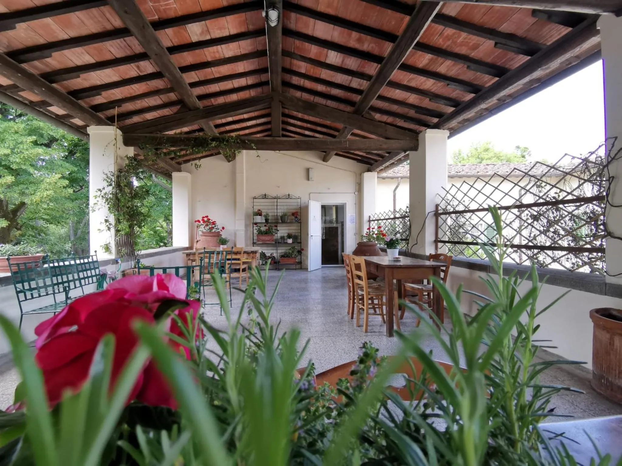 Patio in Agriturismo La Fattoria di Capezzana