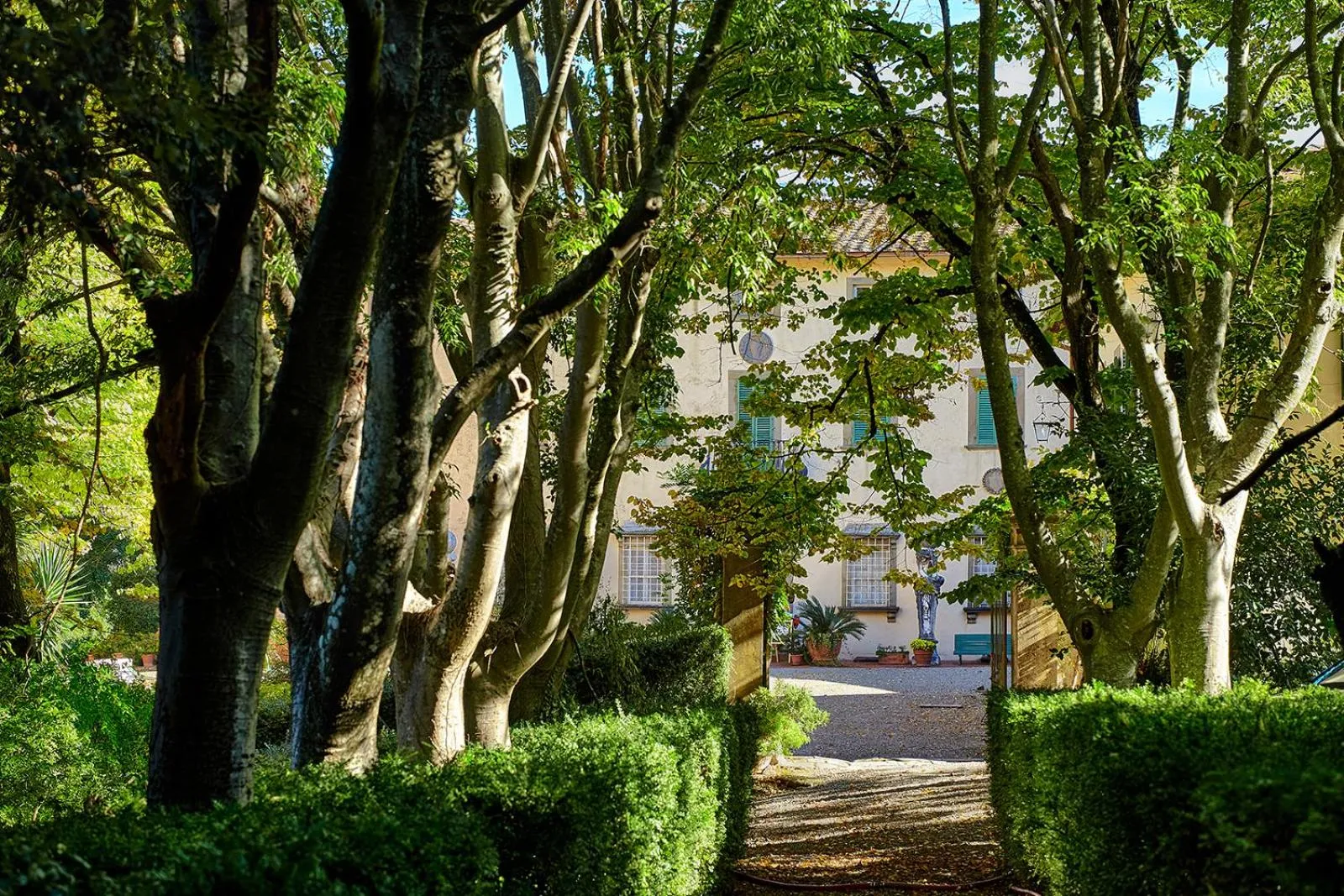 Garden in Agriturismo La Fattoria di Capezzana