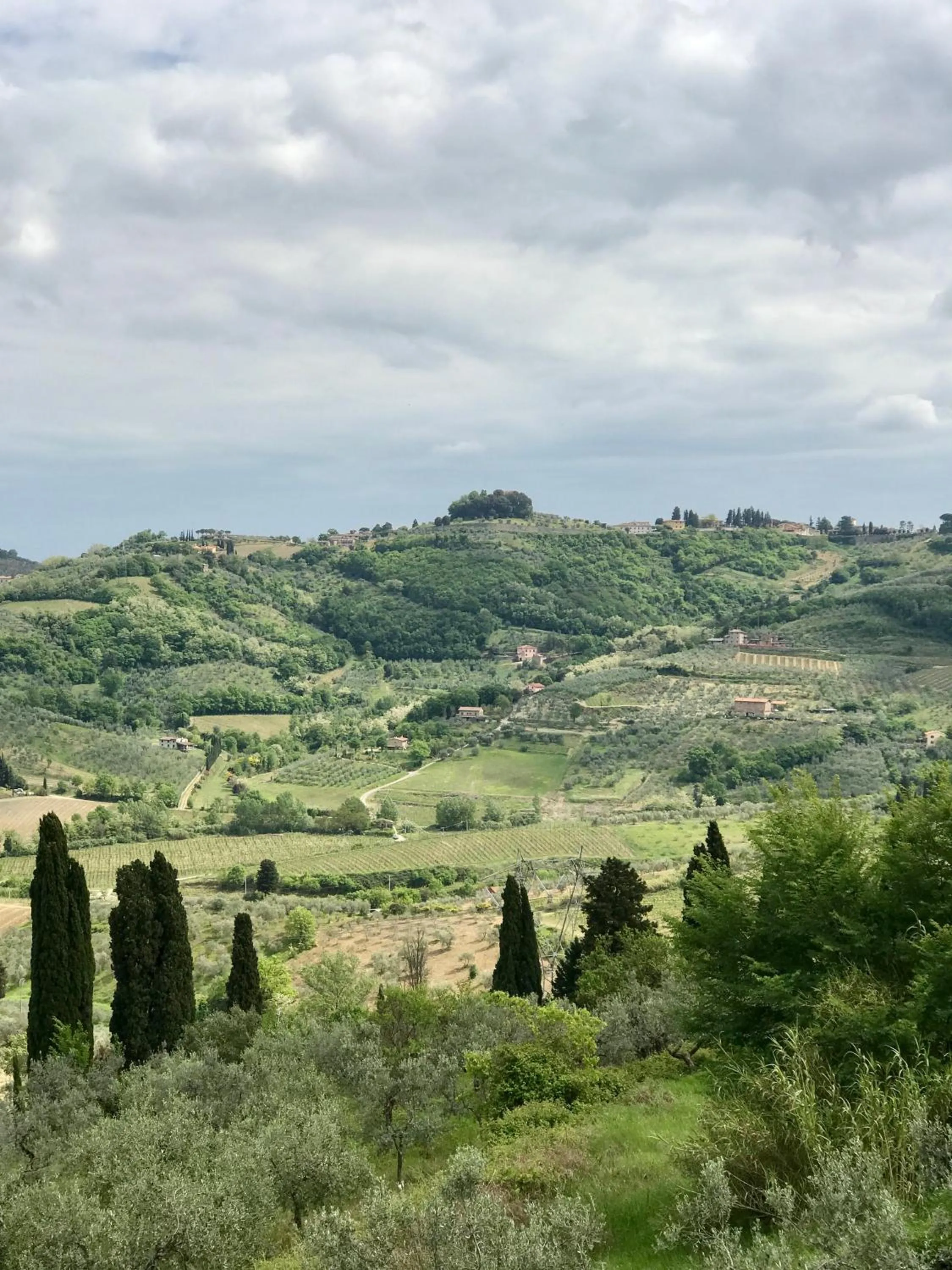 View (from property/room) in Agriturismo La Fattoria di Capezzana