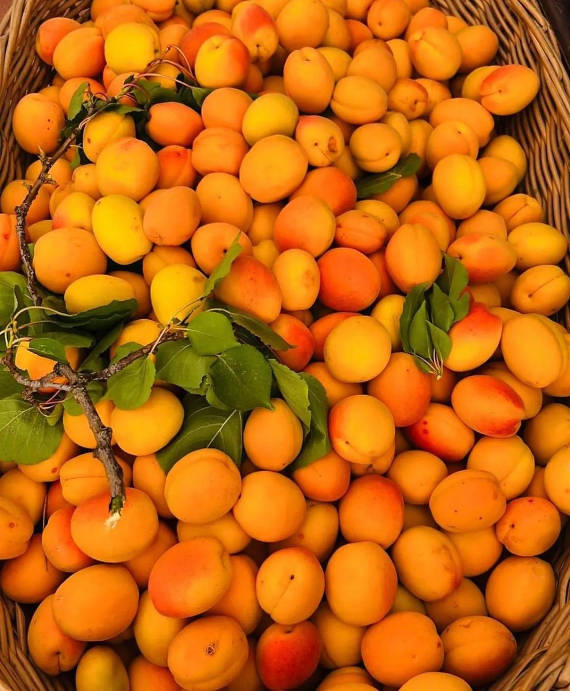 Food in B&B DOÑA FLOR