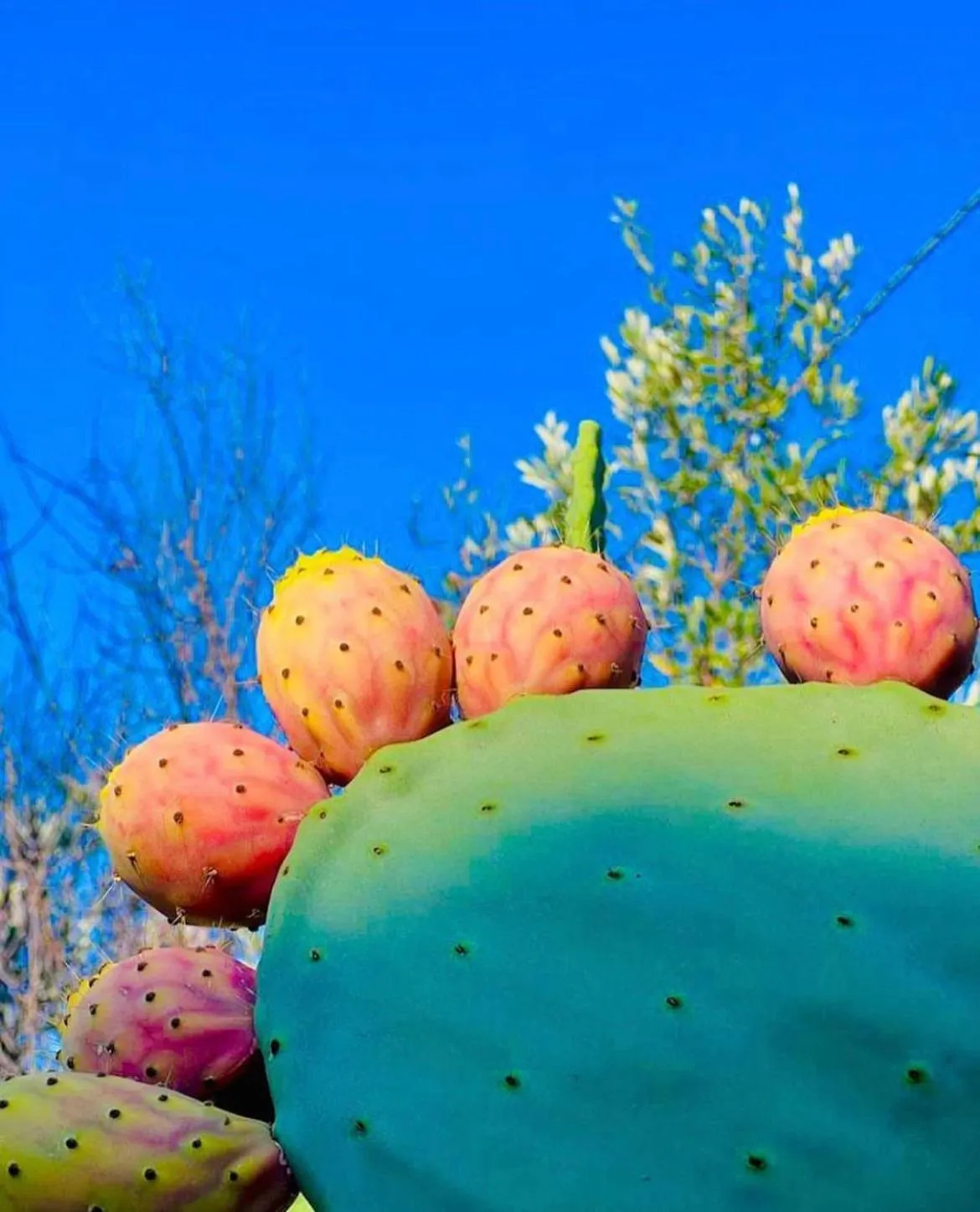 Property building in B&B DOÑA FLOR
