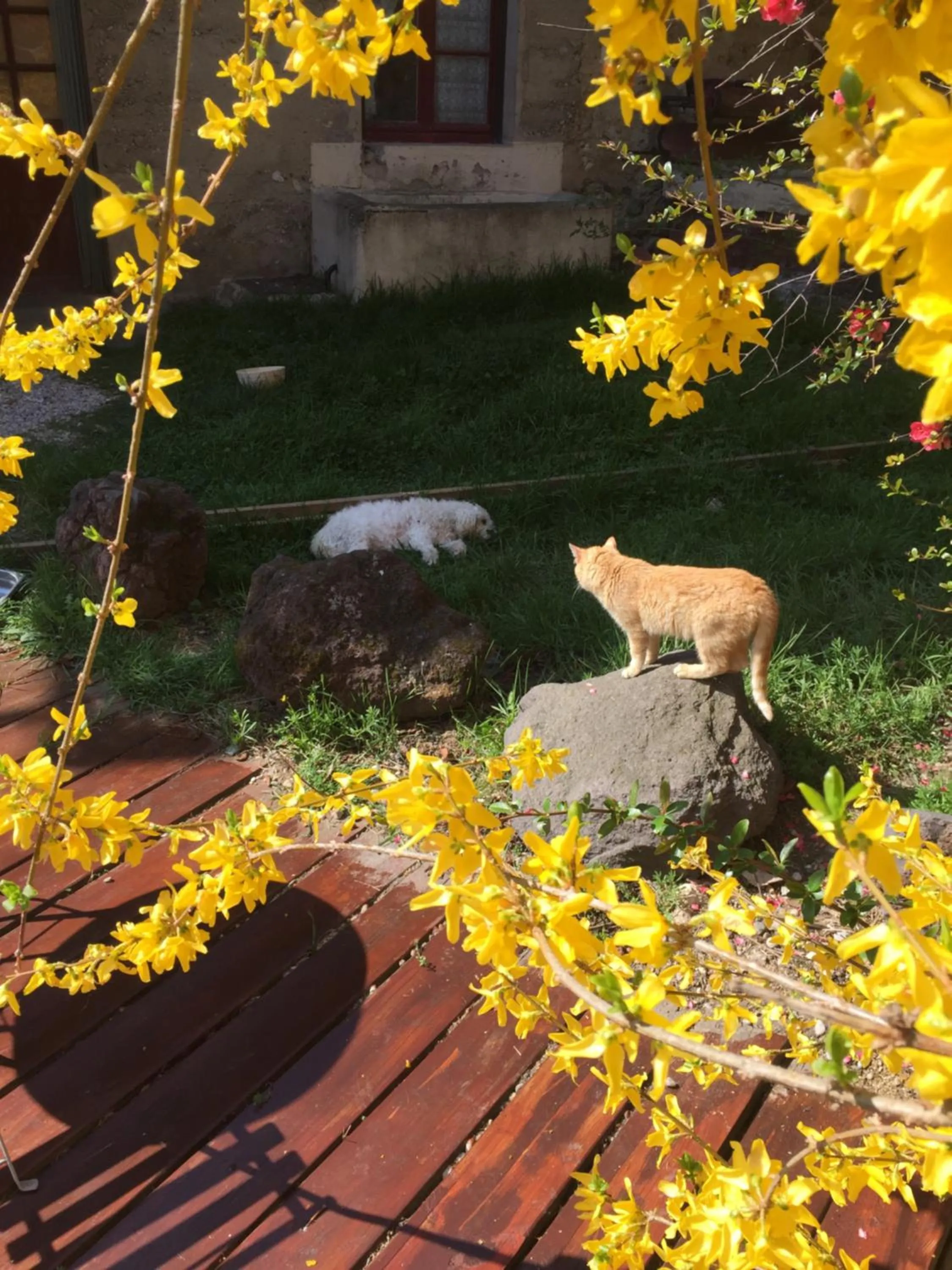 Garden in Chambres d hotes THE RESID