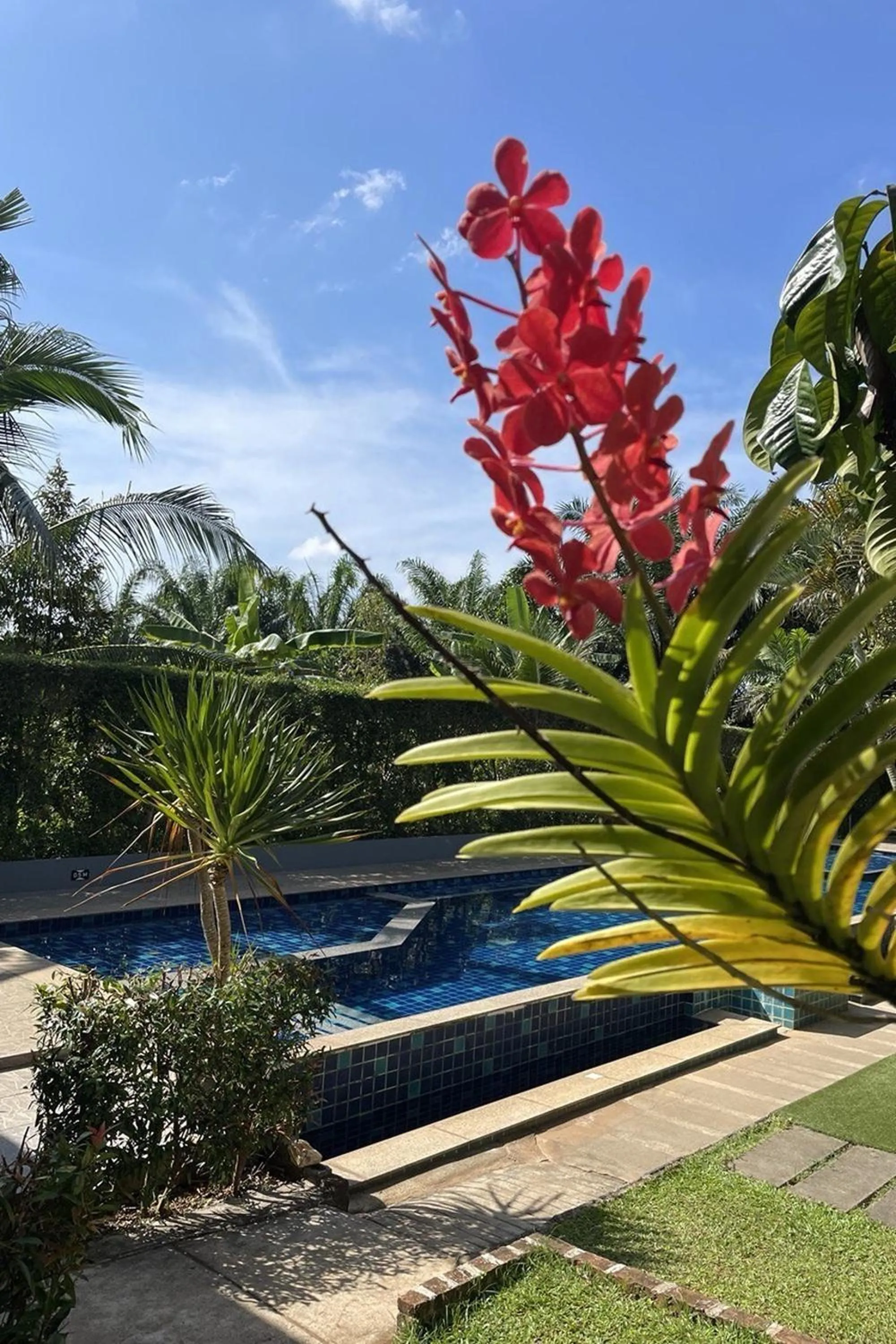 View (from property/room) in The Fong Krabi resort