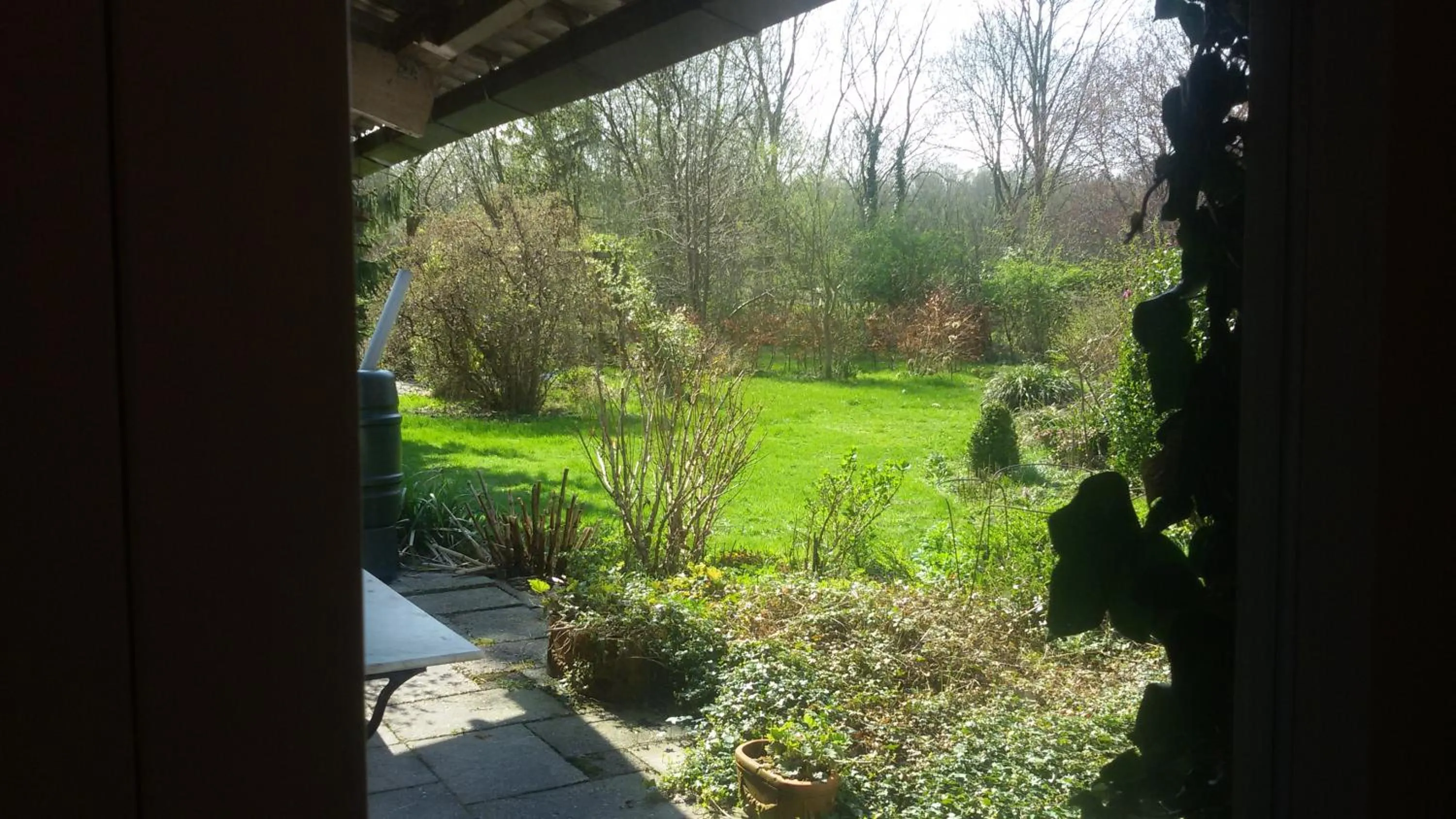 Garden in B&B Meerland