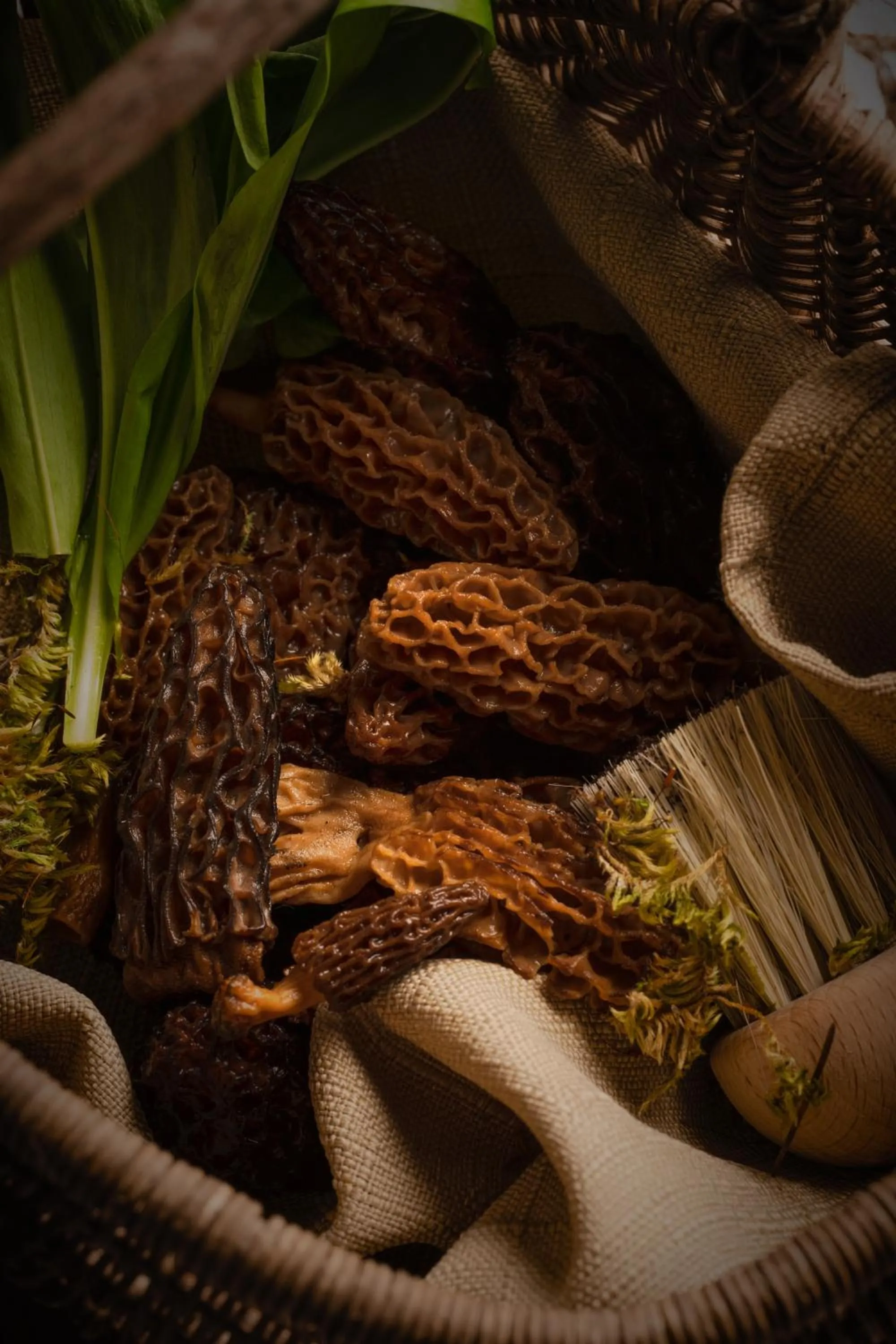 Meals in Demeures & Châteaux Auberge de la Tour - Hôtel & Restaurants - Marcolès Auvergne