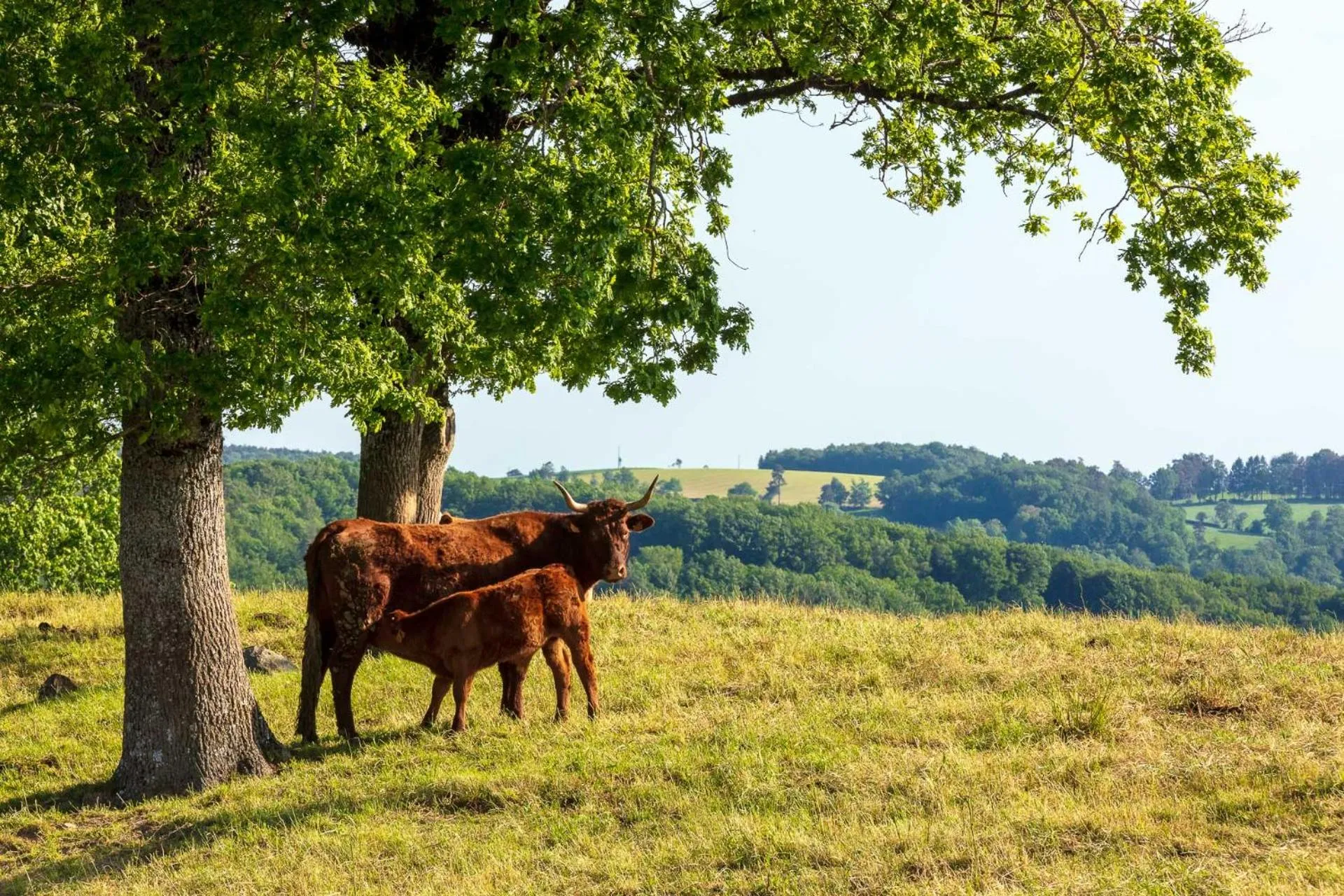 Off site in Demeures & Châteaux Auberge de la Tour - Hôtel & Restaurants - Marcolès Auvergne
