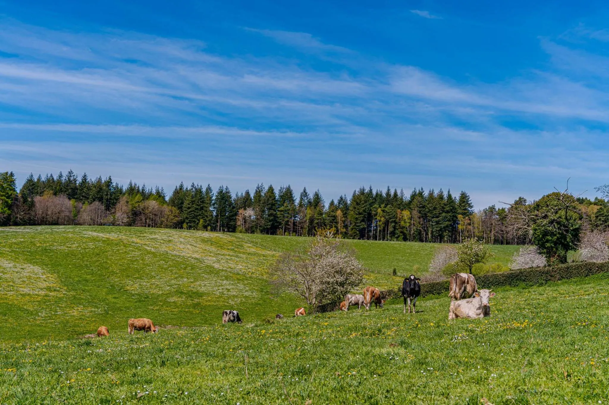 Landmark view in Demeures & Châteaux Auberge de la Tour - Hôtel & Restaurants - Marcolès Auvergne