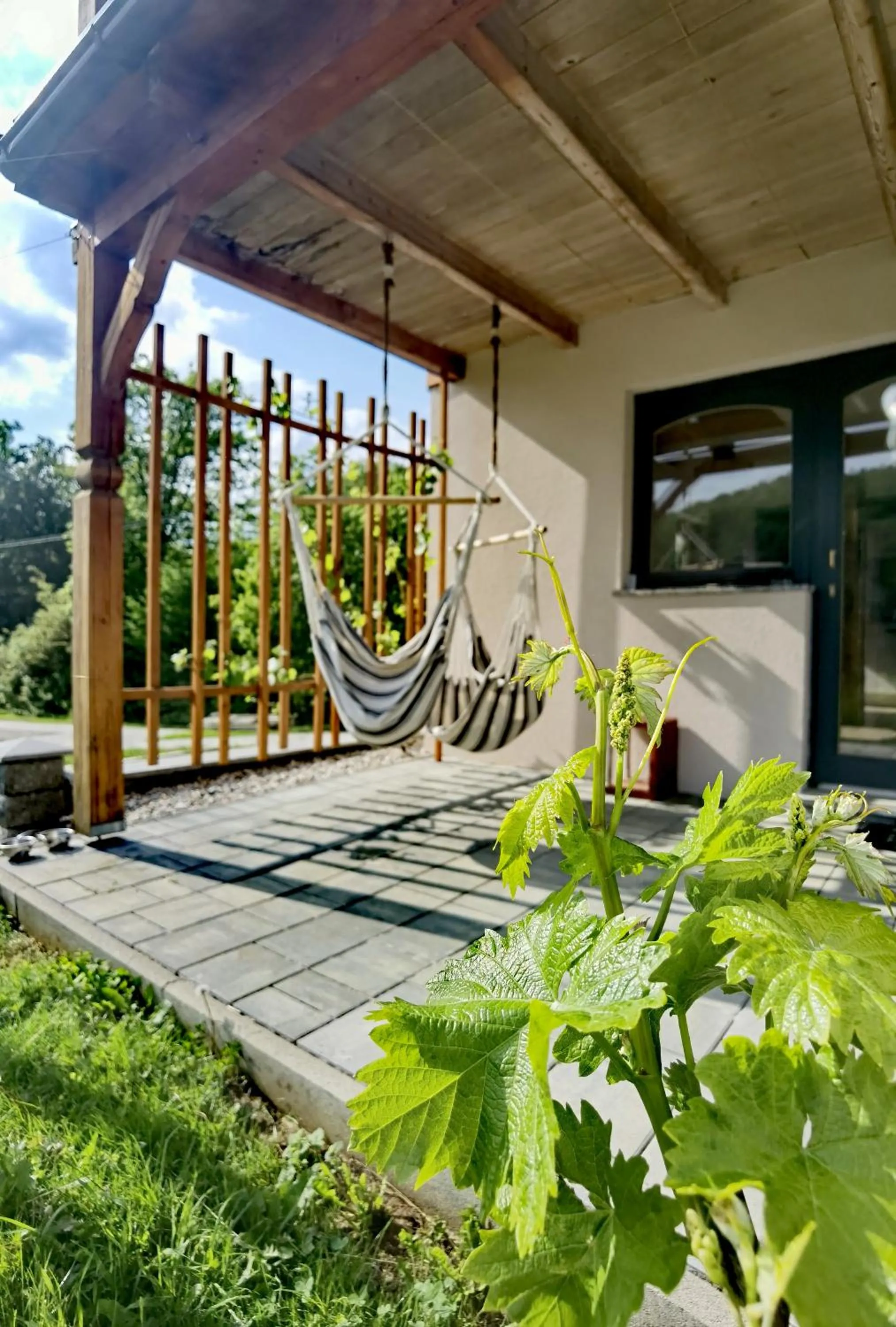 Patio in Vineyard cottage Matej