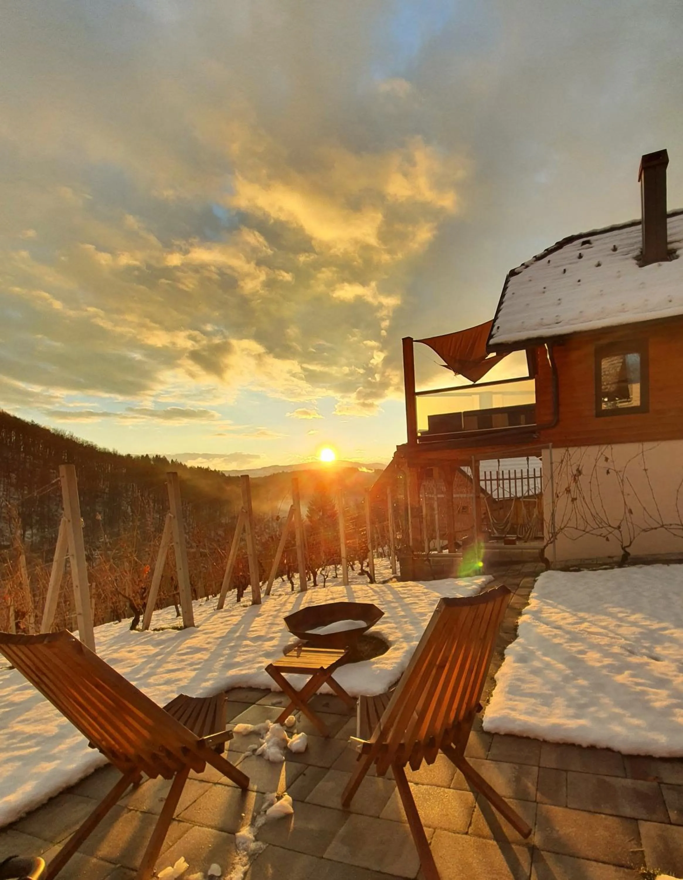 Property building in Vineyard cottage Matej