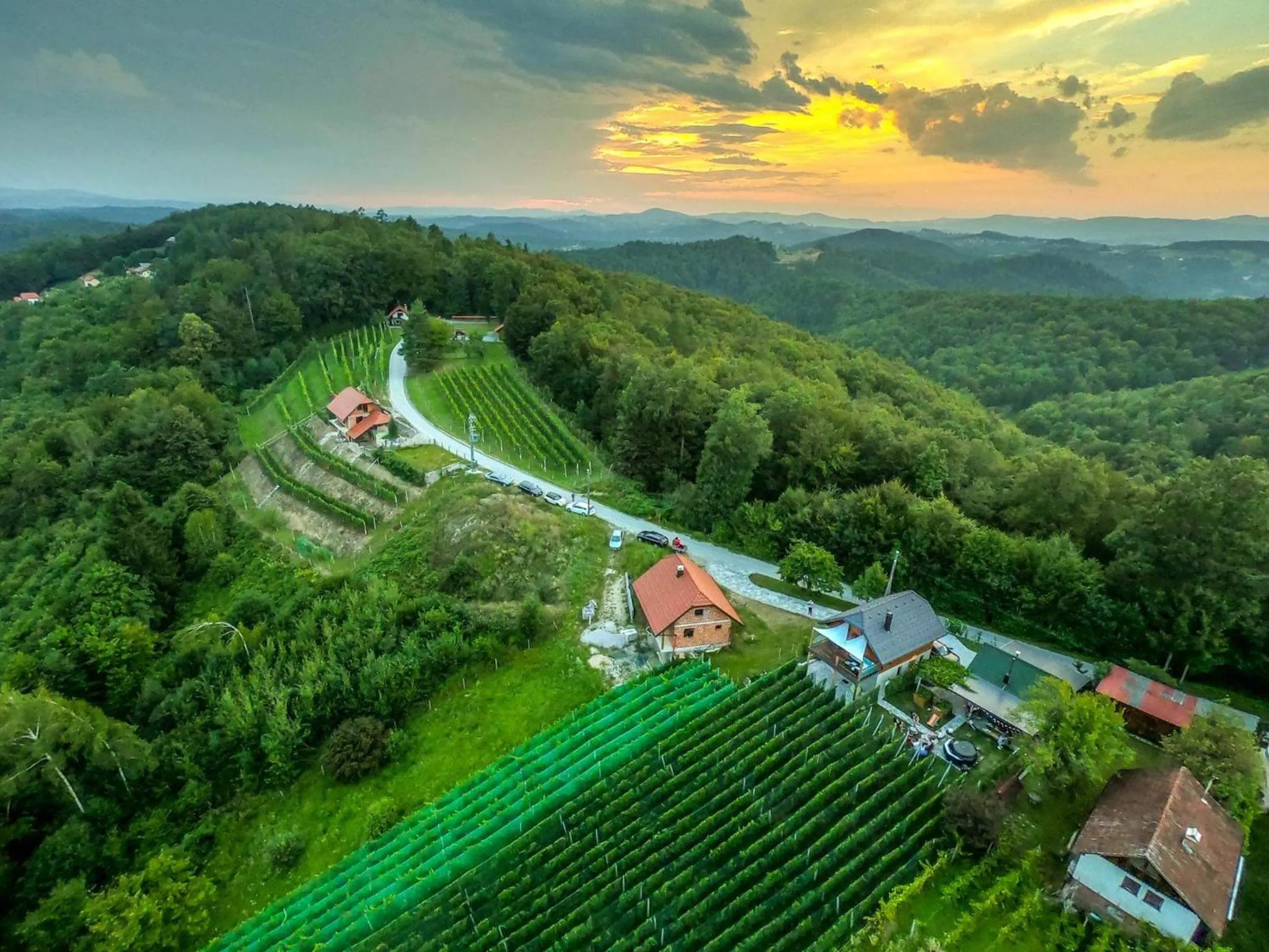 Property building in Vineyard cottage Matej