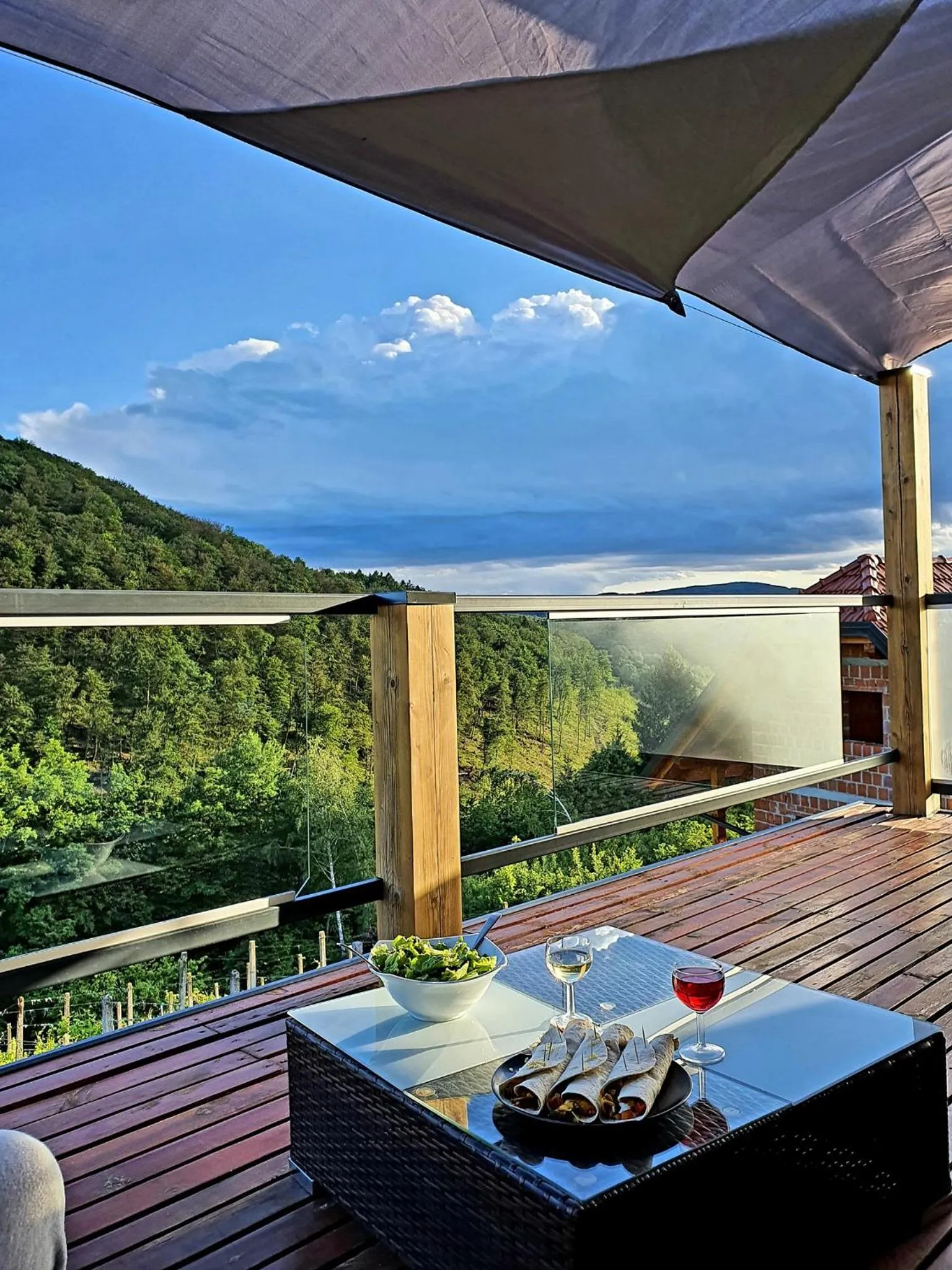 View (from property/room) in Vineyard cottage Matej