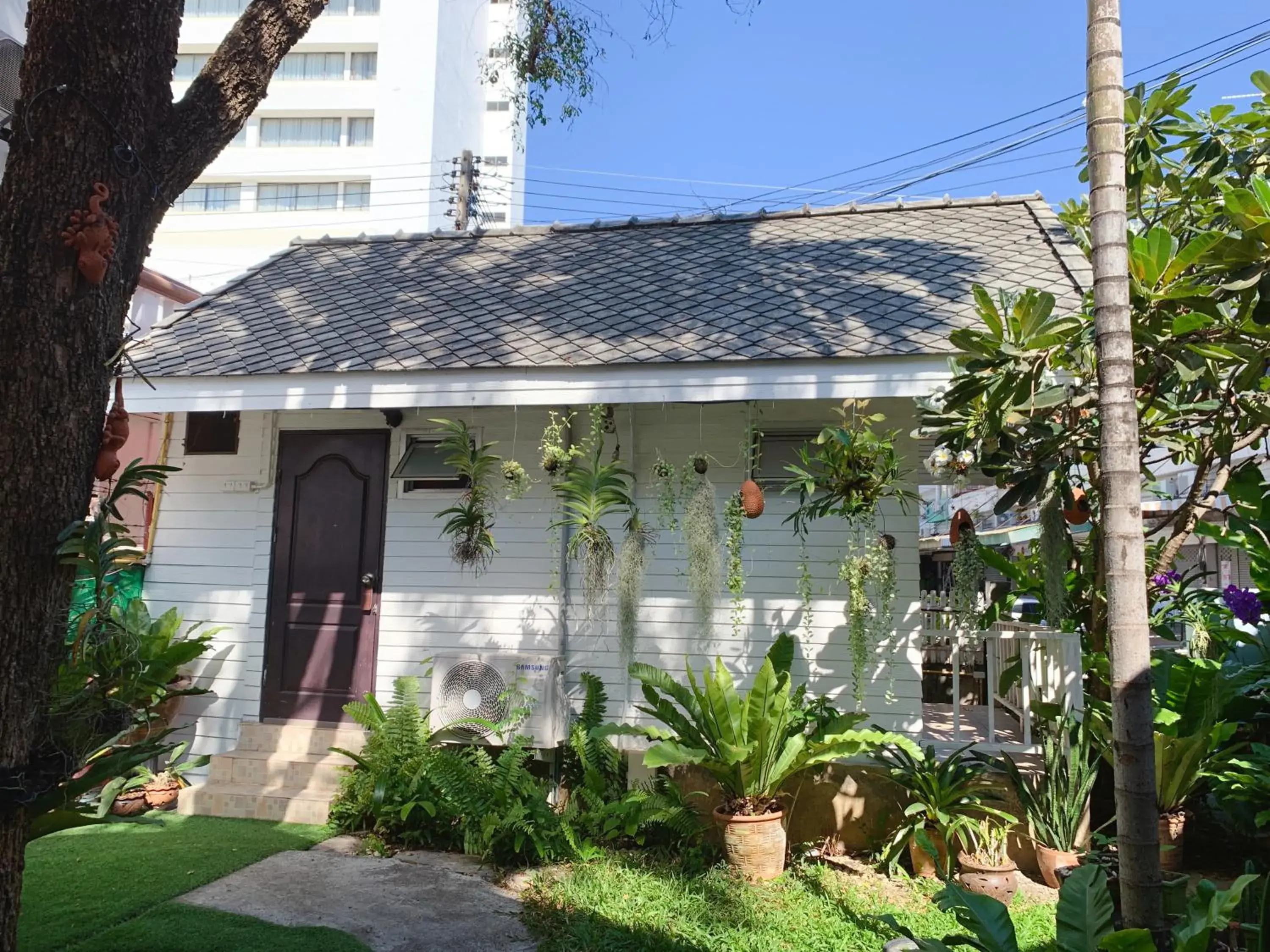 Garden view in Dream Garden Villa Hotel Night Bazaar ChiangMai Garden view in Dream Garden Villa Hotel Night Bazaar ChiangMai