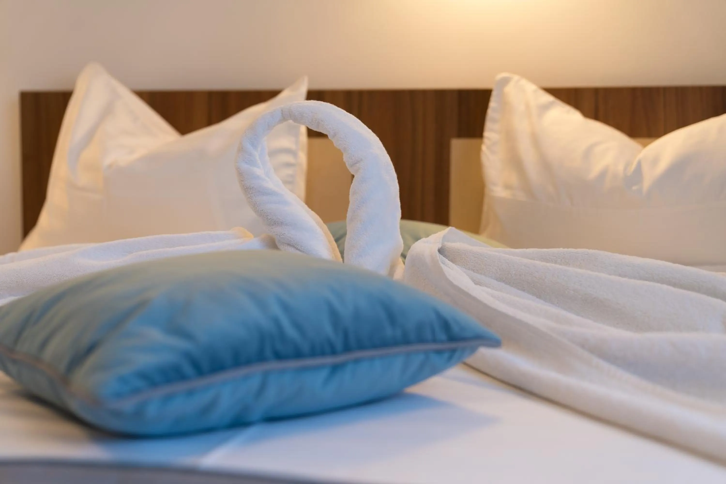 Bed in Pensiunea Transilvania