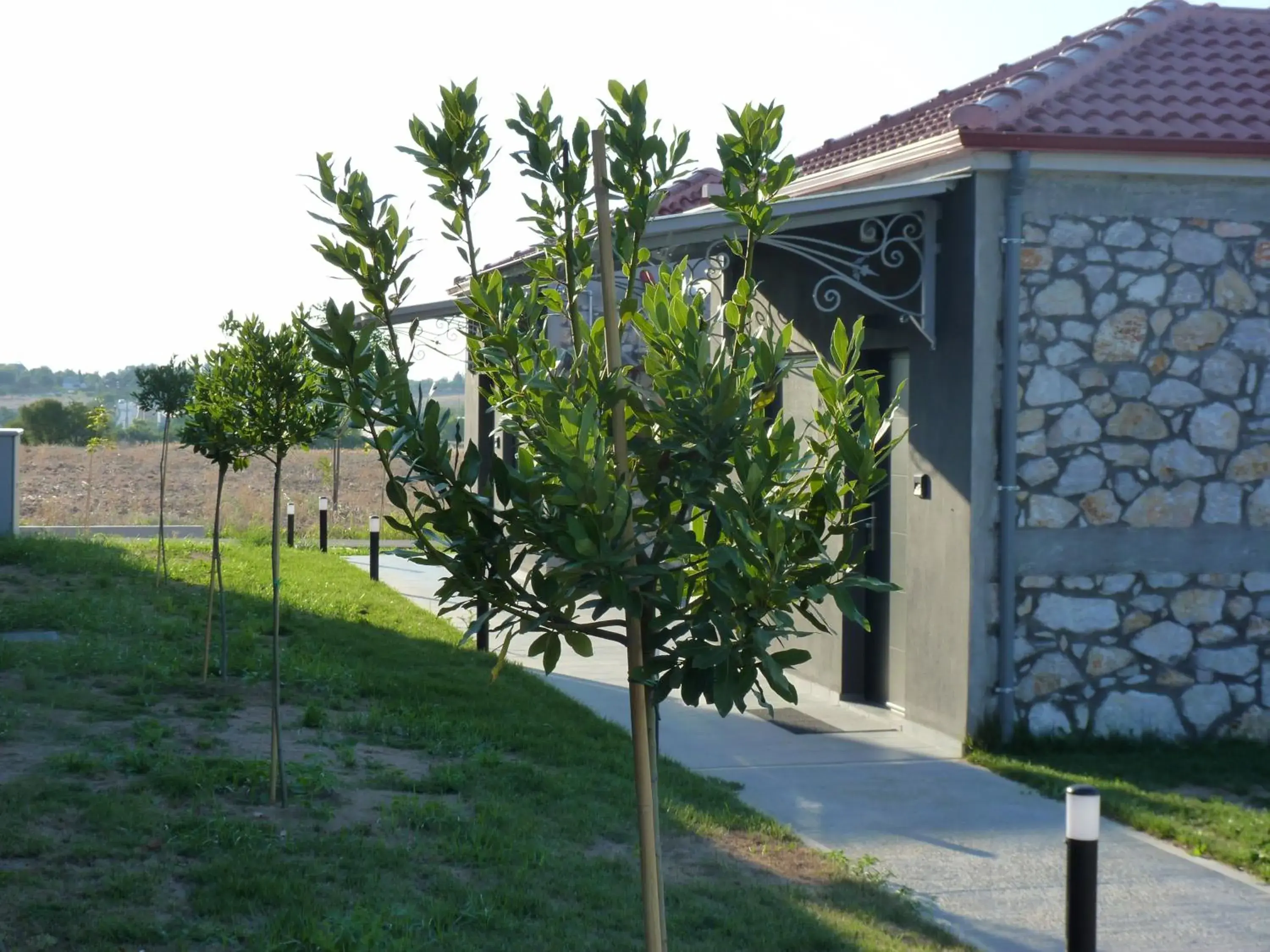 Suite with Garden View in Comfort Suites & Rooms Suite with Garden View in Comfort Suites & Rooms
