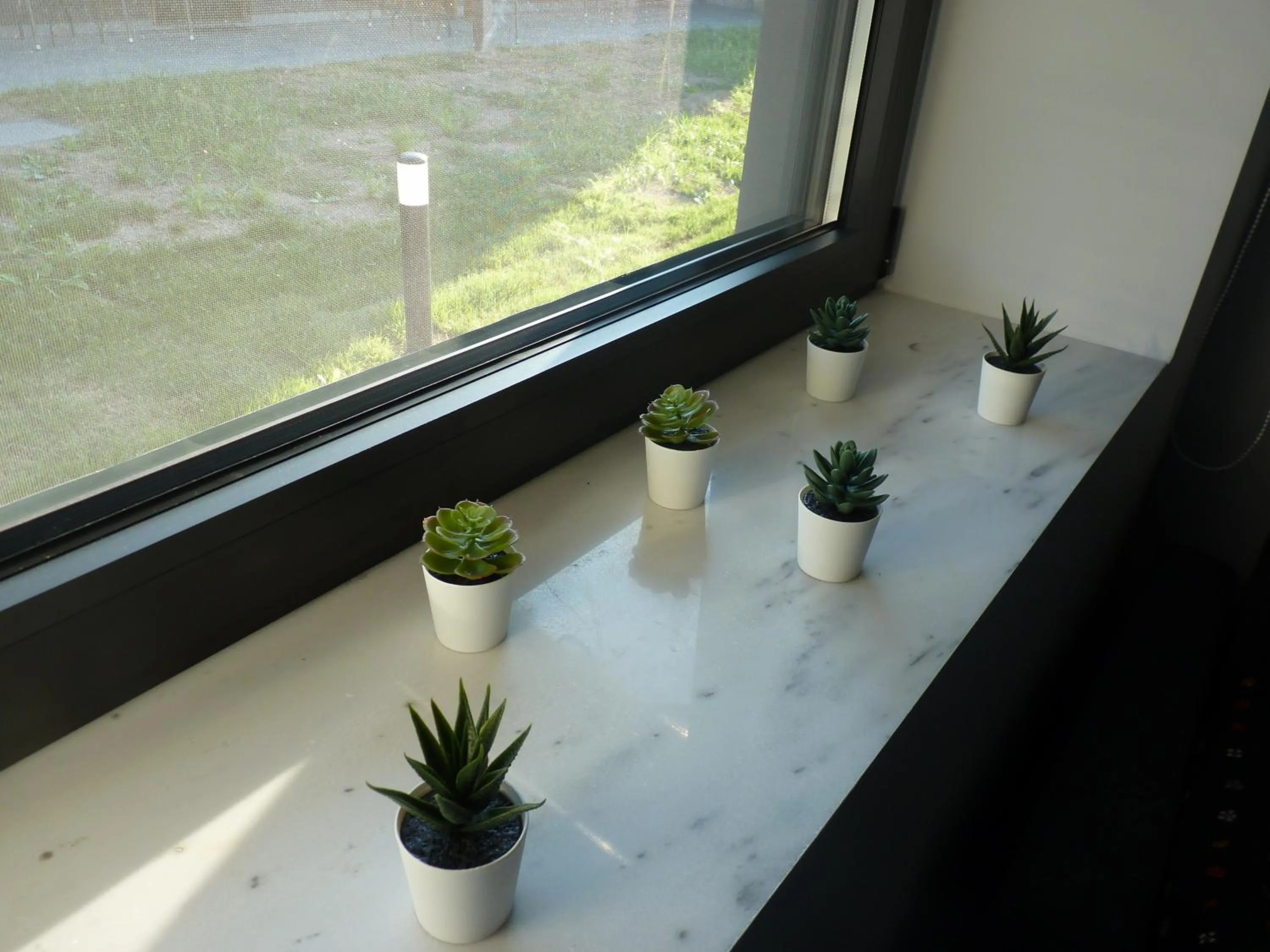 Comfort Suites & Rooms