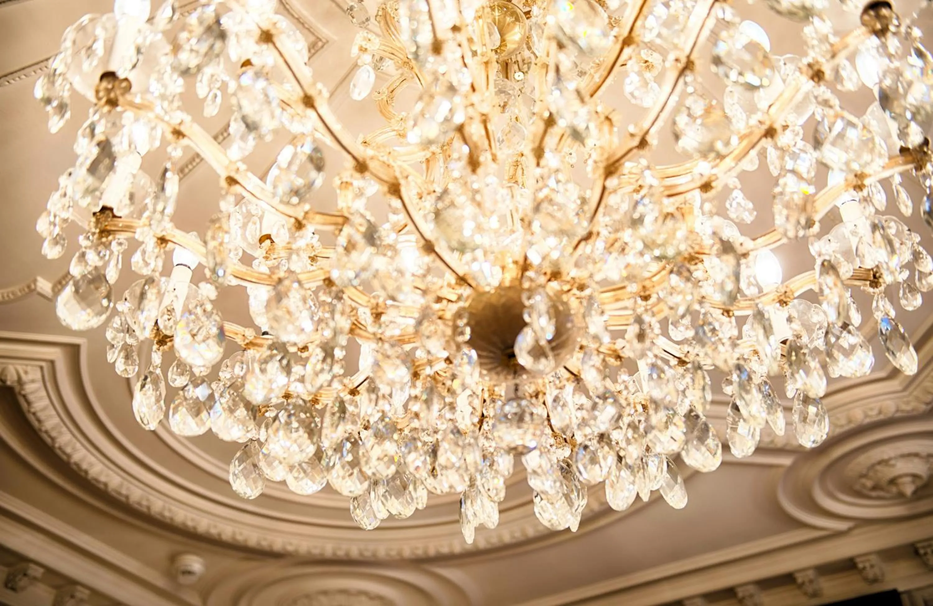 Decorative detail in Hotel Alden Splügenschloss Zürich - Leonardo Limited Edition