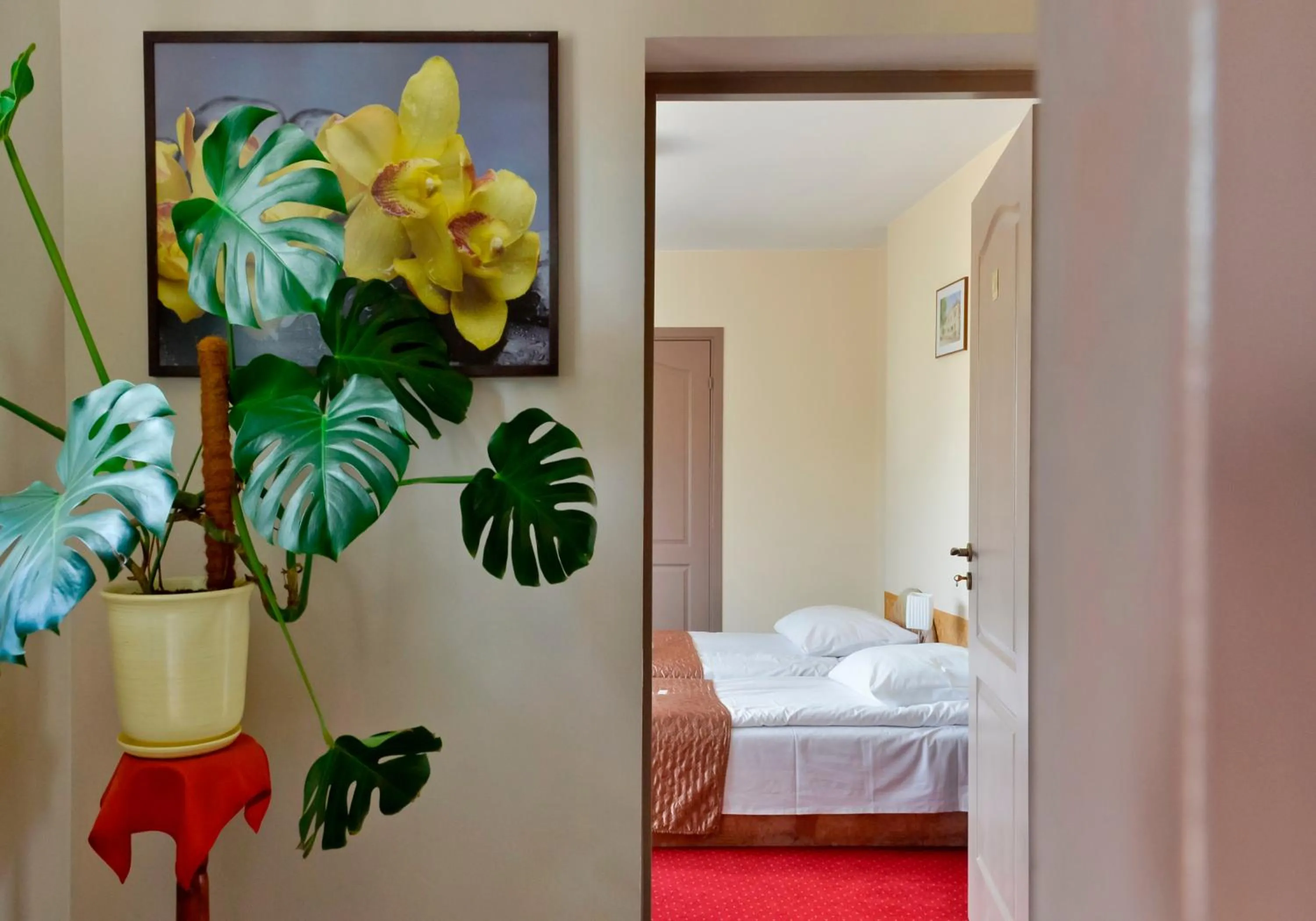 Photo of the whole room, Bed in Harmonia
