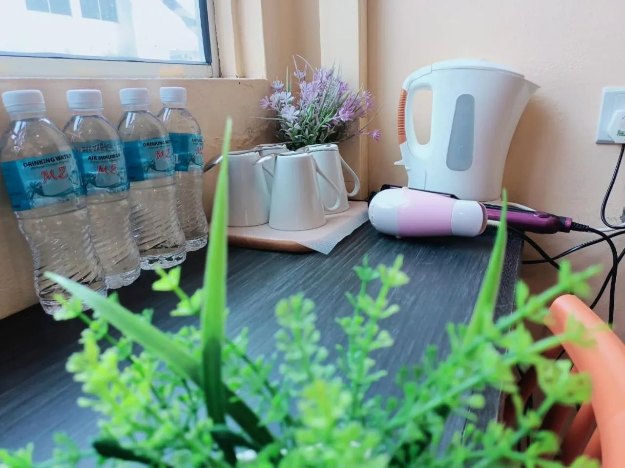 Loft Pals Urbanstay Lodge, Kapit