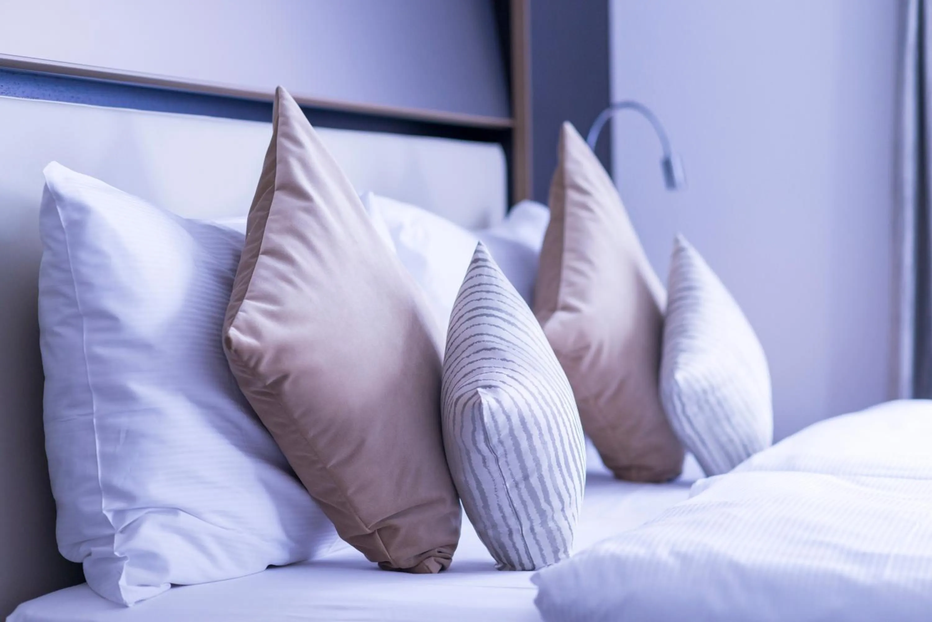 Bed in Hotel Krone Unterstrass