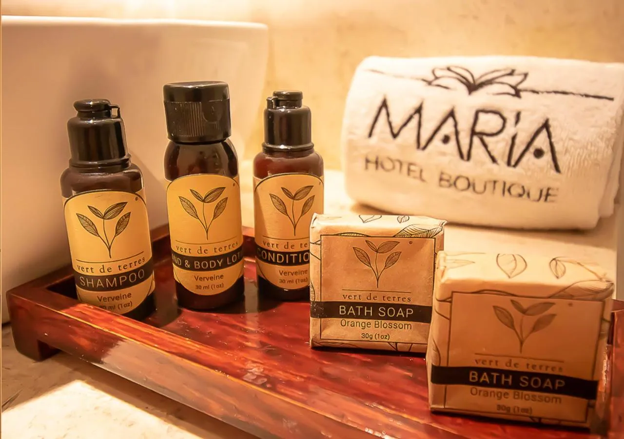 Shower in Hotel Boutique Maria