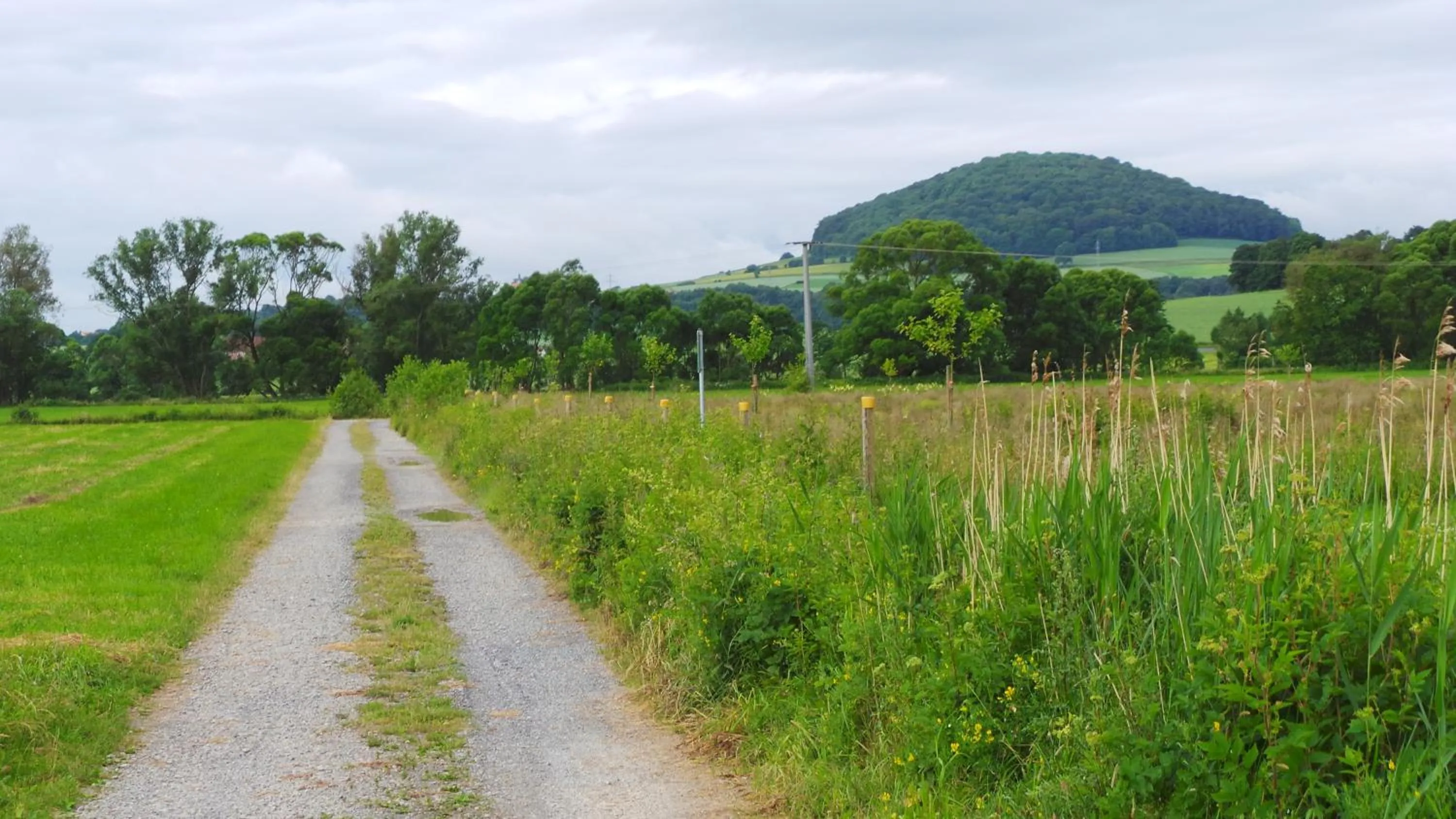 Garden in Rhönblick Landhotel - Restaurant - Countrypub
