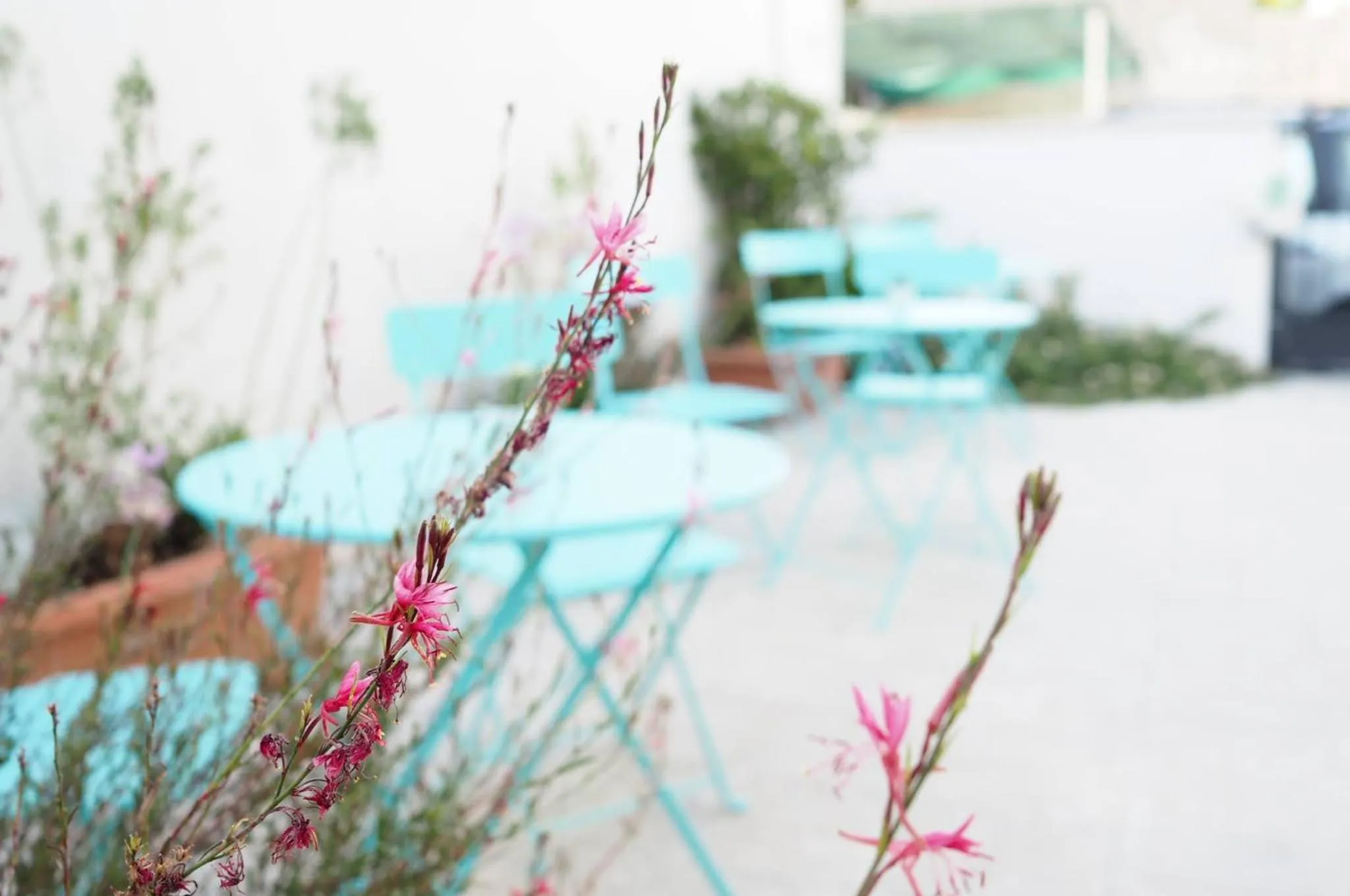 Property building in Il Rifugio del Navigante