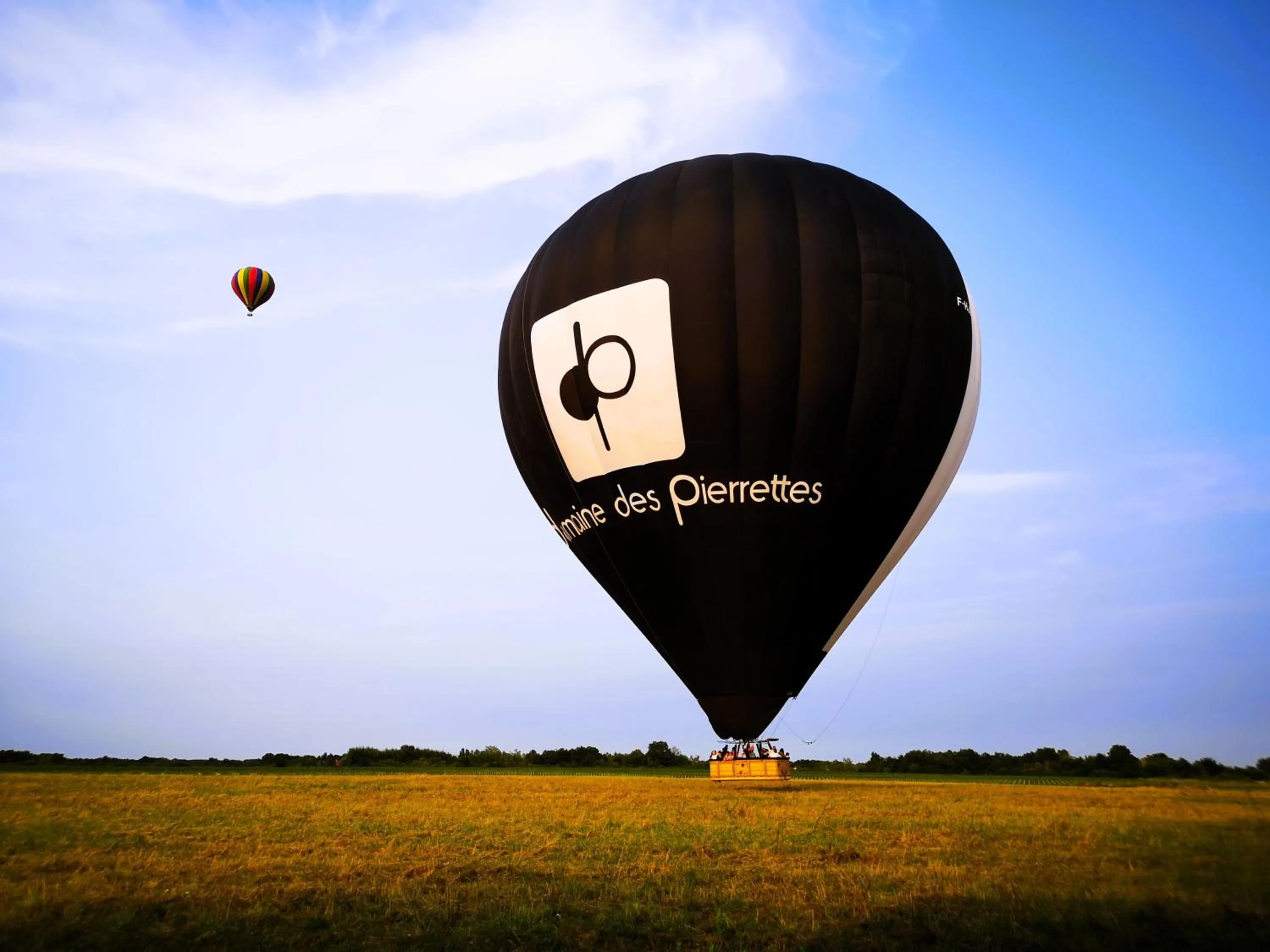 Les Eléphants bleus