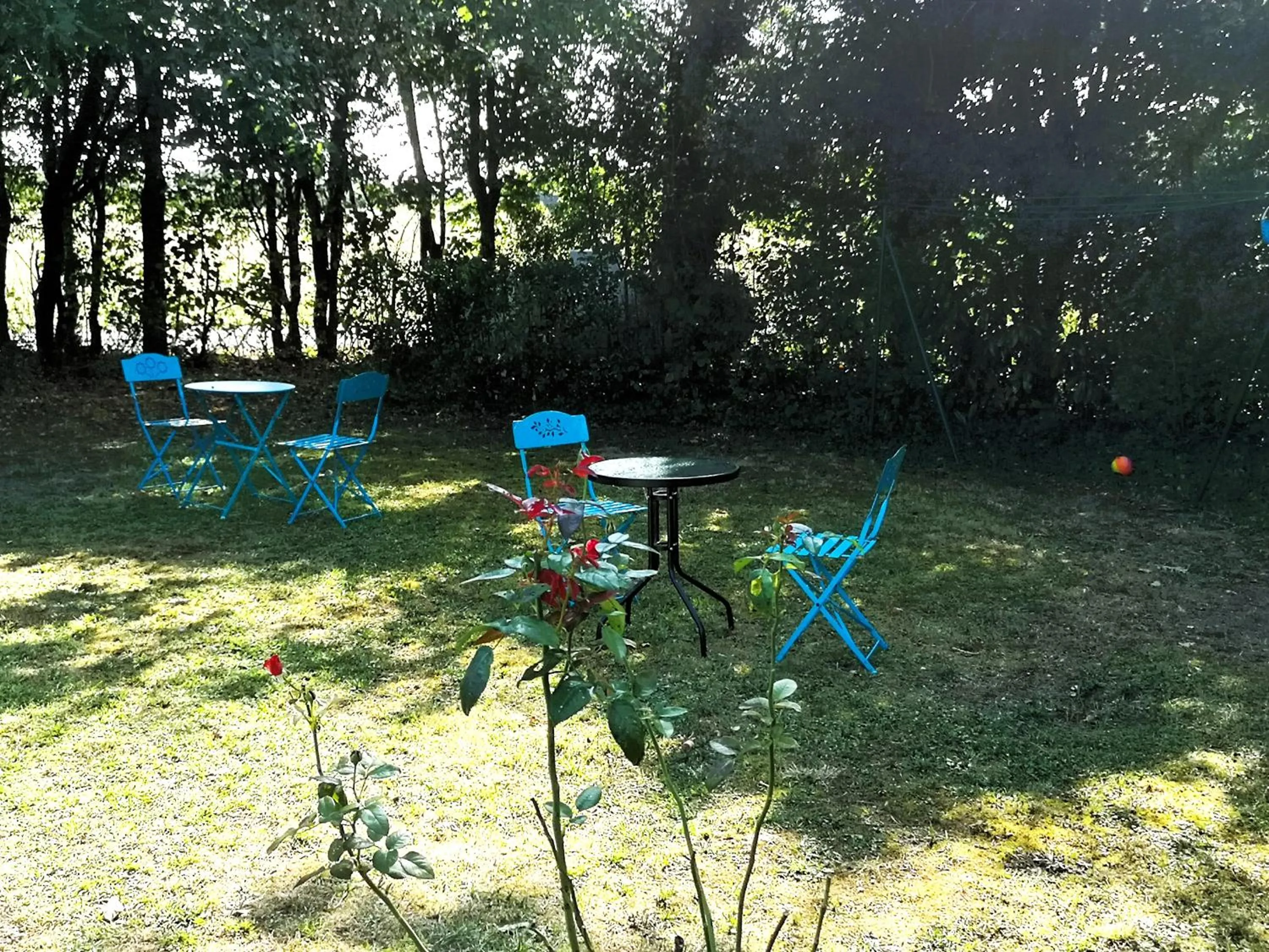 Les Eléphants bleus