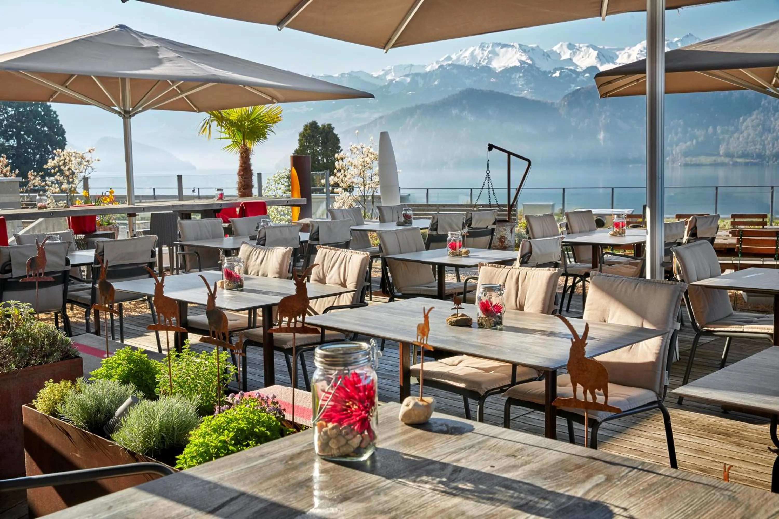 Restaurant/places to eat in Alpenblick Weggis - Panorama & Alpen Chic Hotel