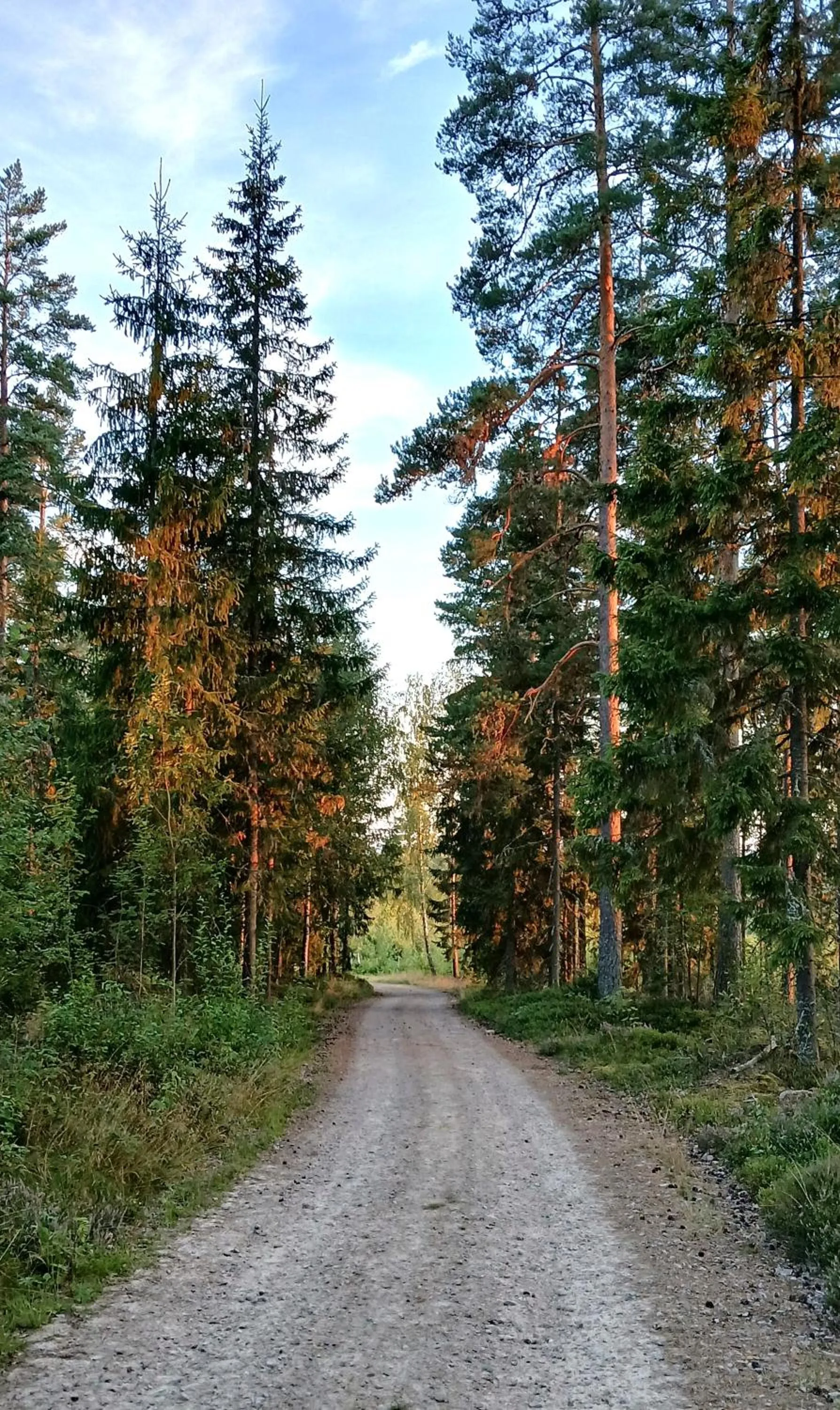 Day in B&B Klarälvsbanan