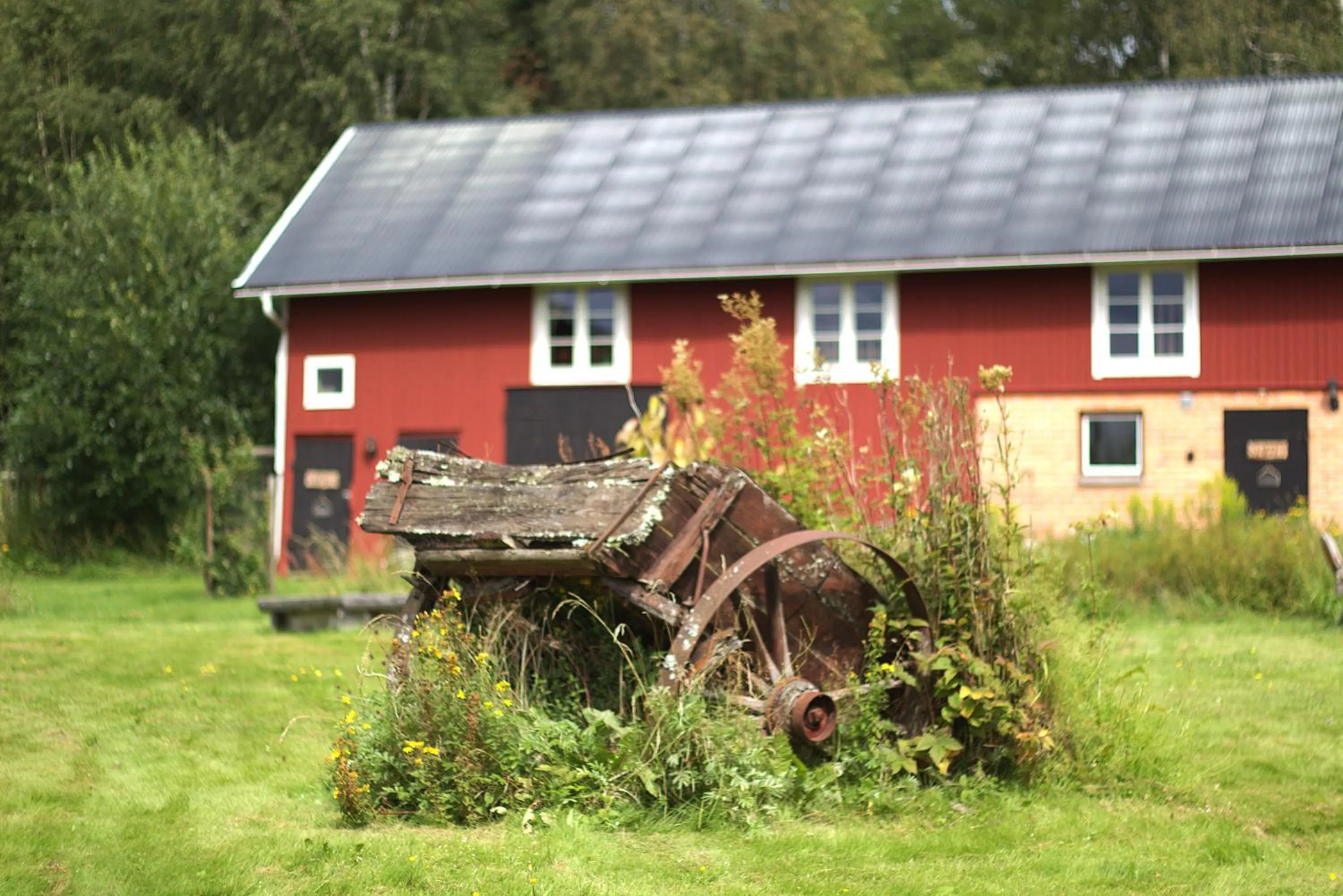 Garden in B&B Klarälvsbanan
