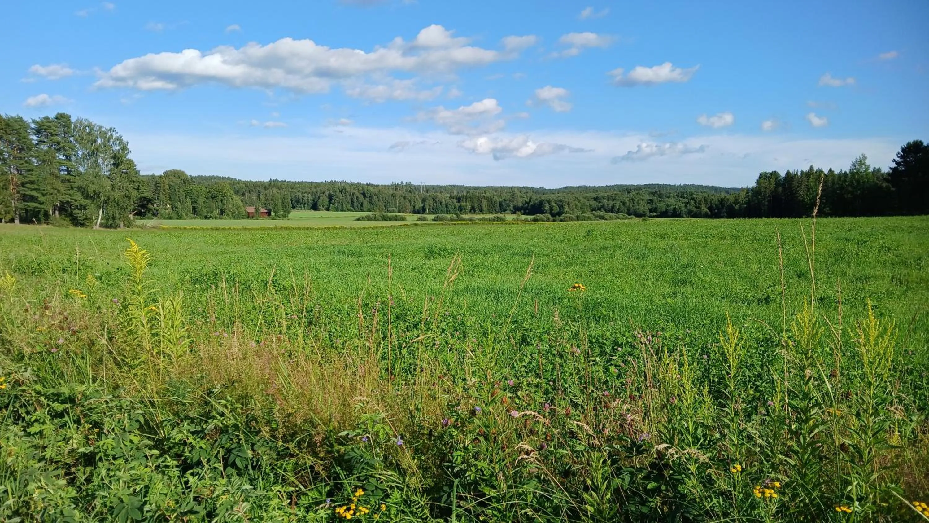 Area and facilities in B&B Klarälvsbanan