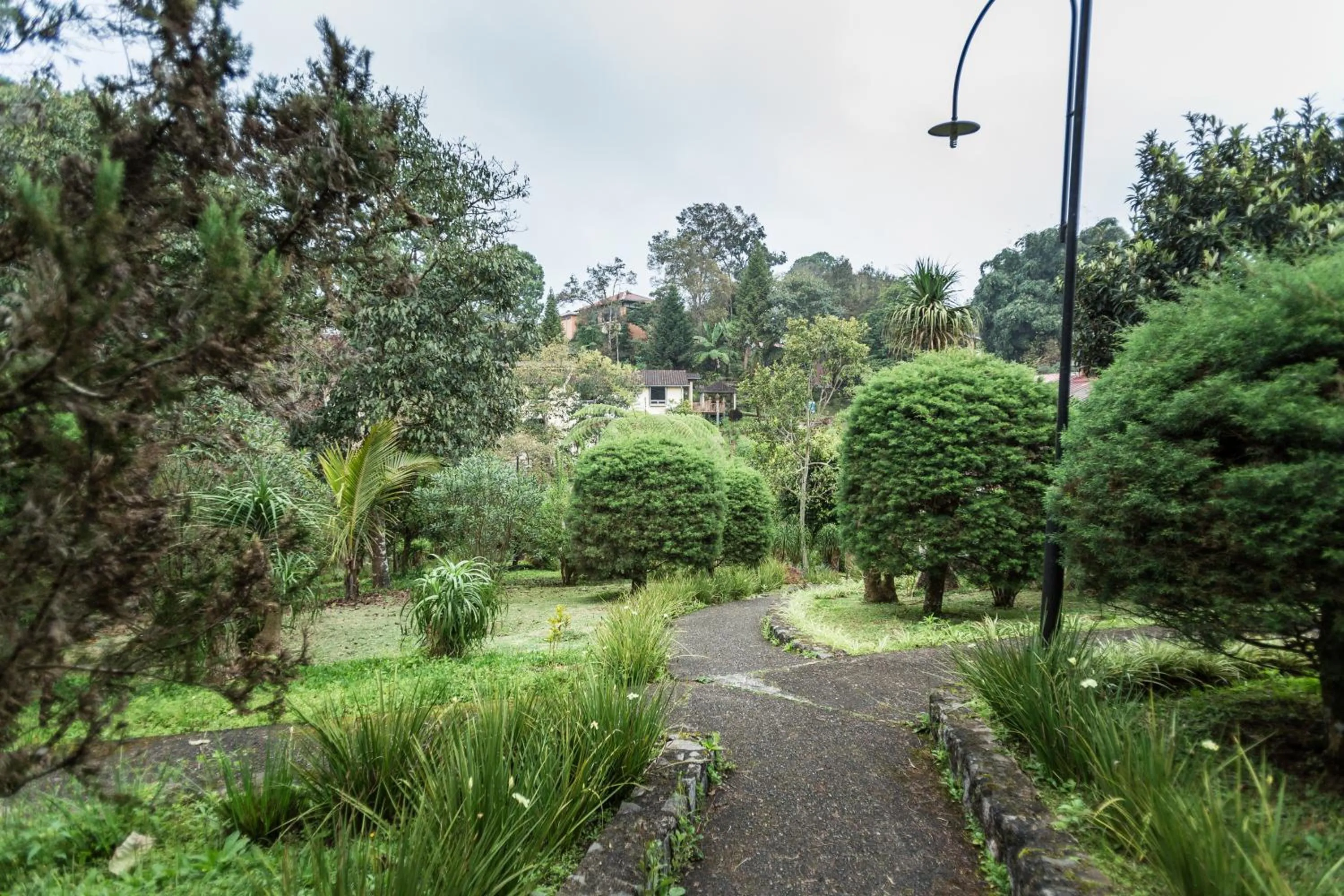 Garden in Park Hotel