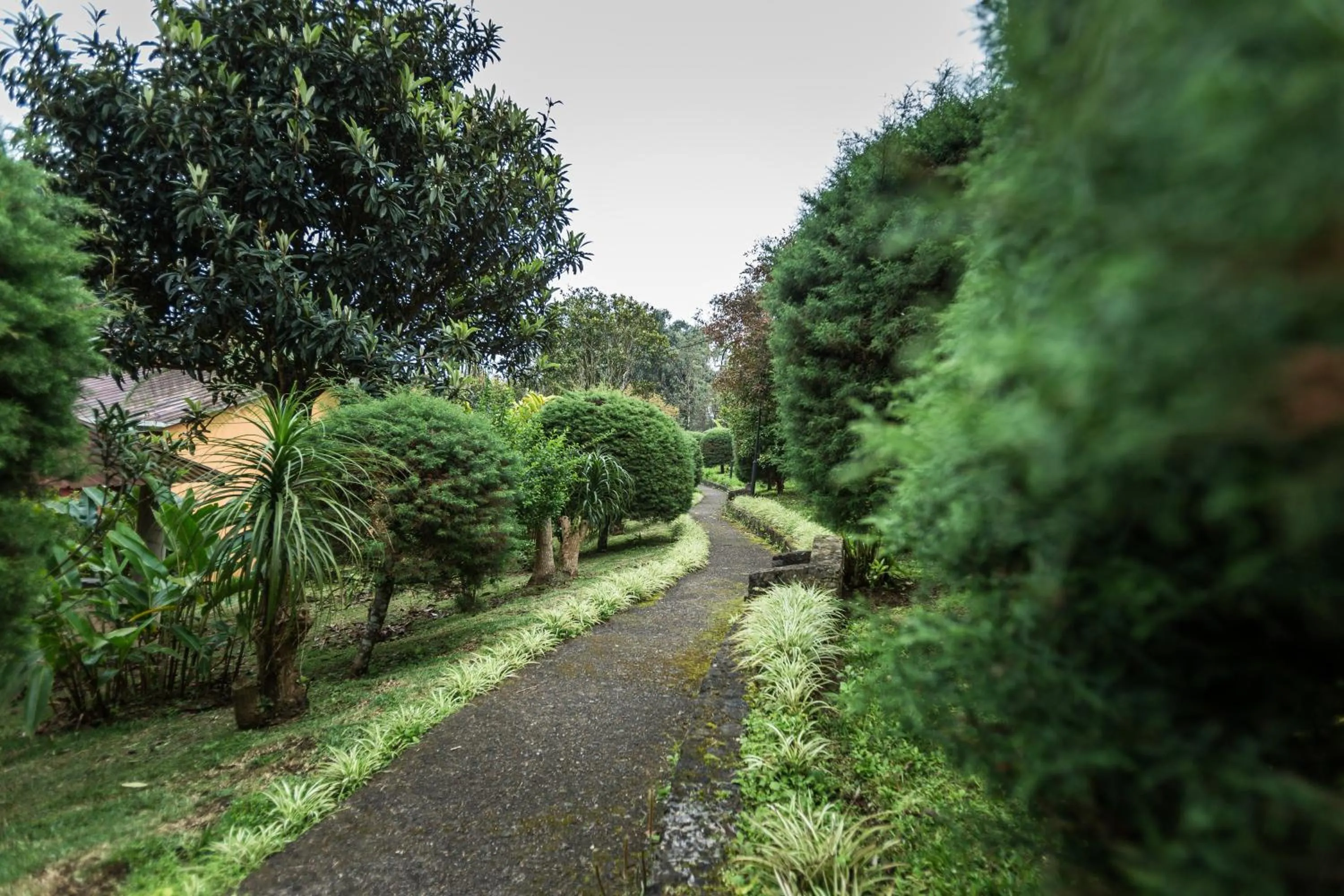Garden in Park Hotel