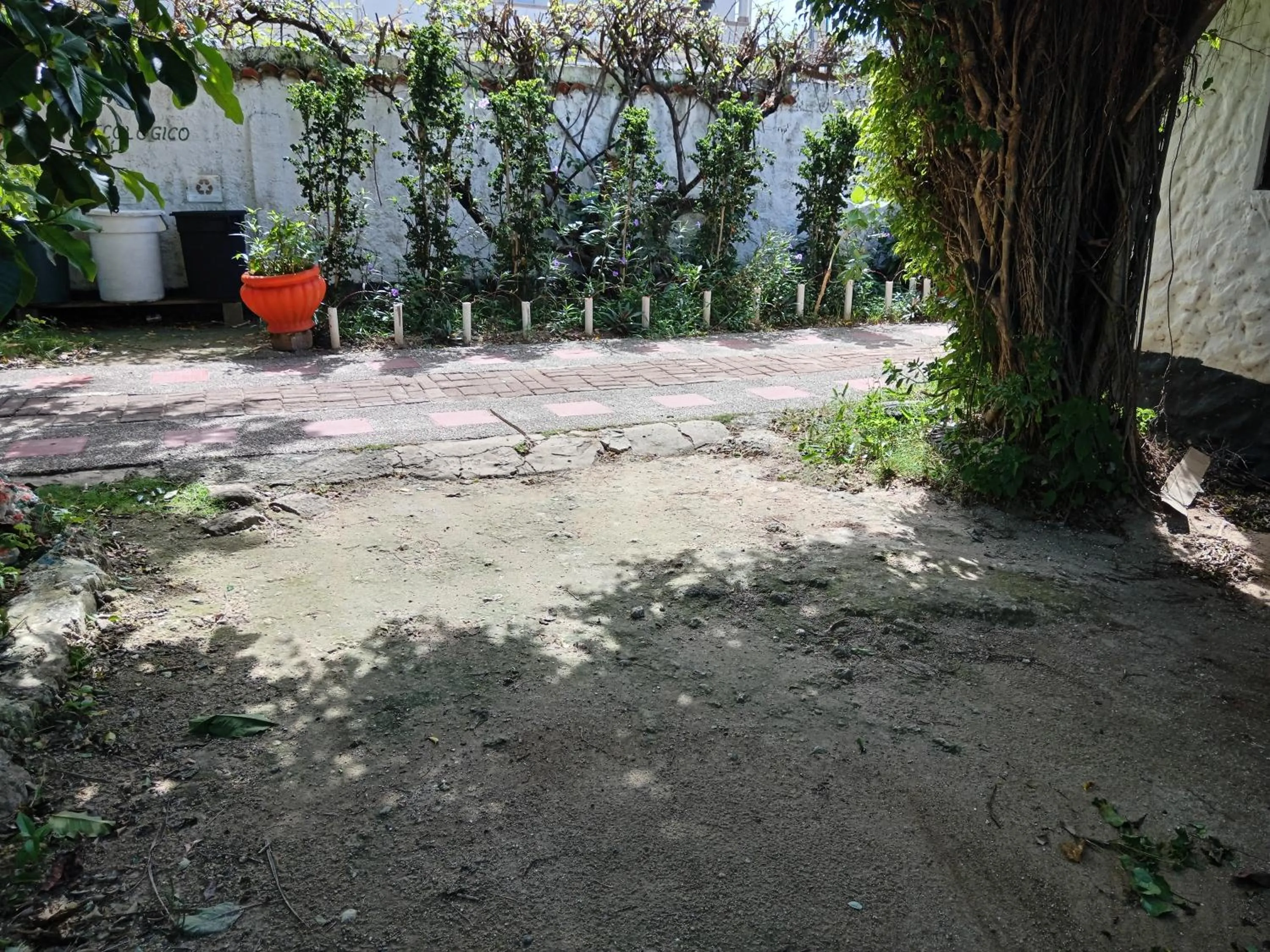 Garden view in Hospedaje Turistico Angula Place